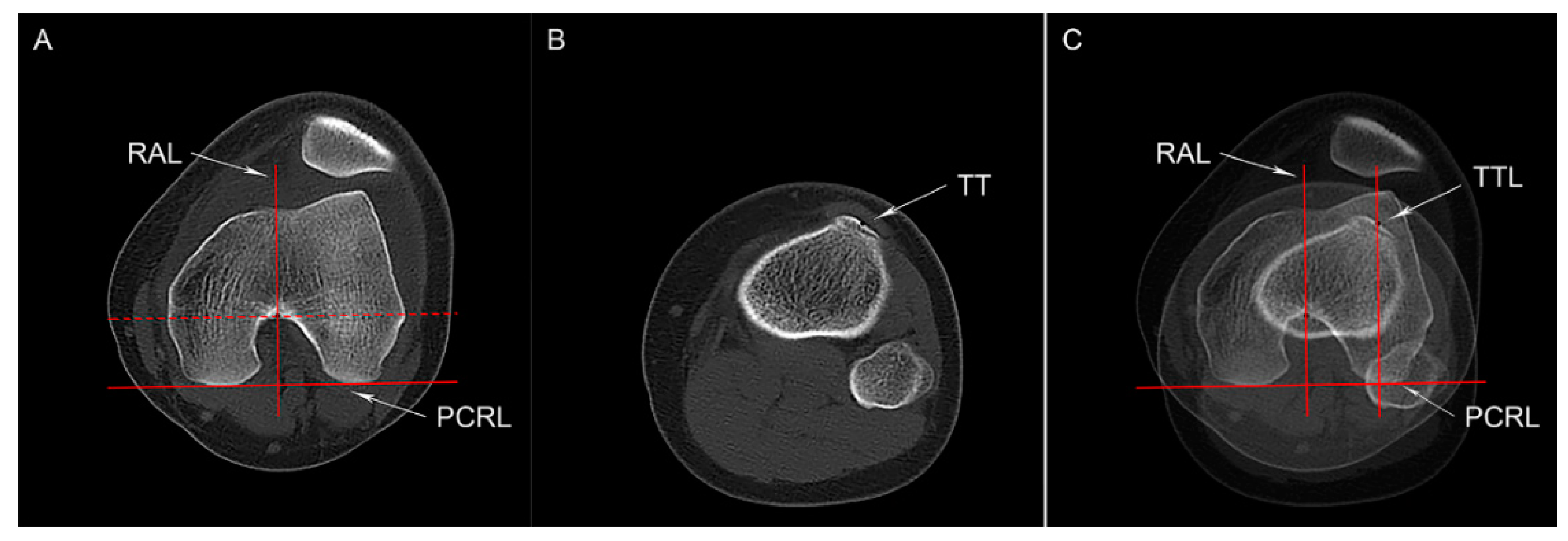 Medicina 59 00382 g003