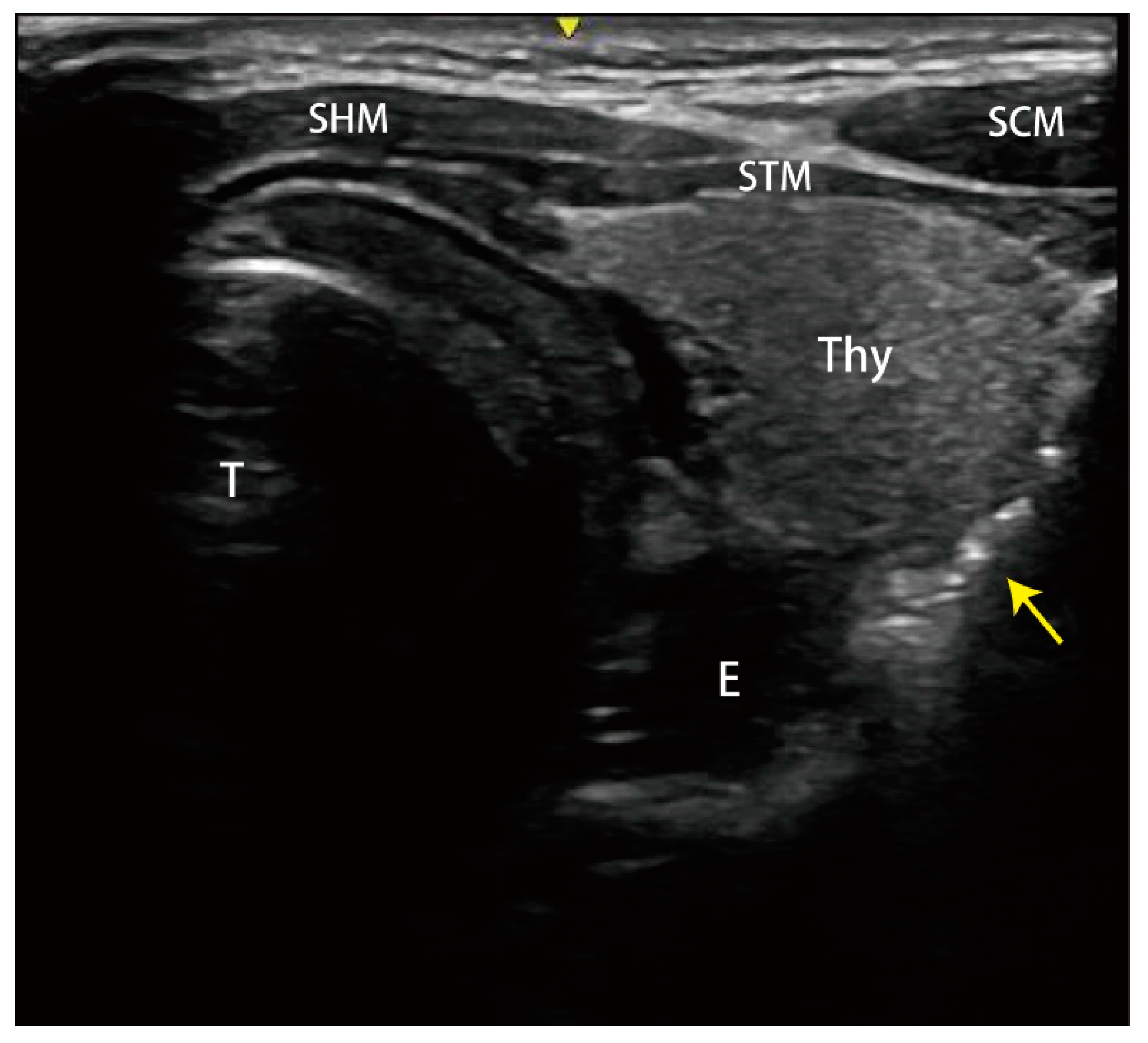 Medicina 59 00394 g001