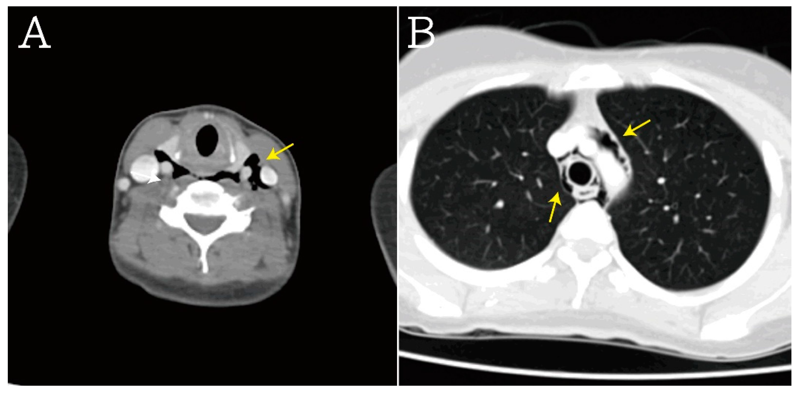 Medicina 59 00394 g003