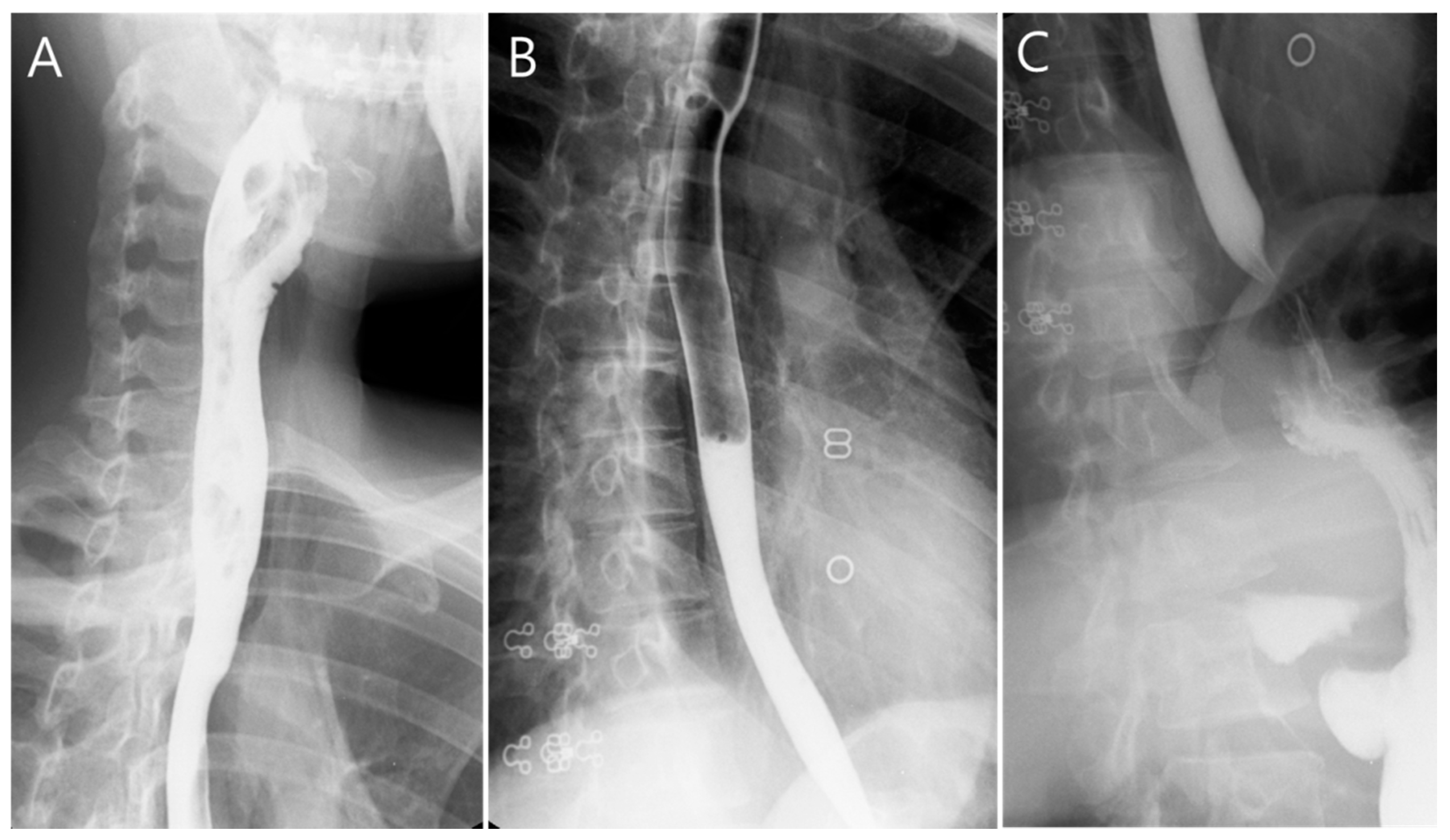 Medicina 59 00394 g004