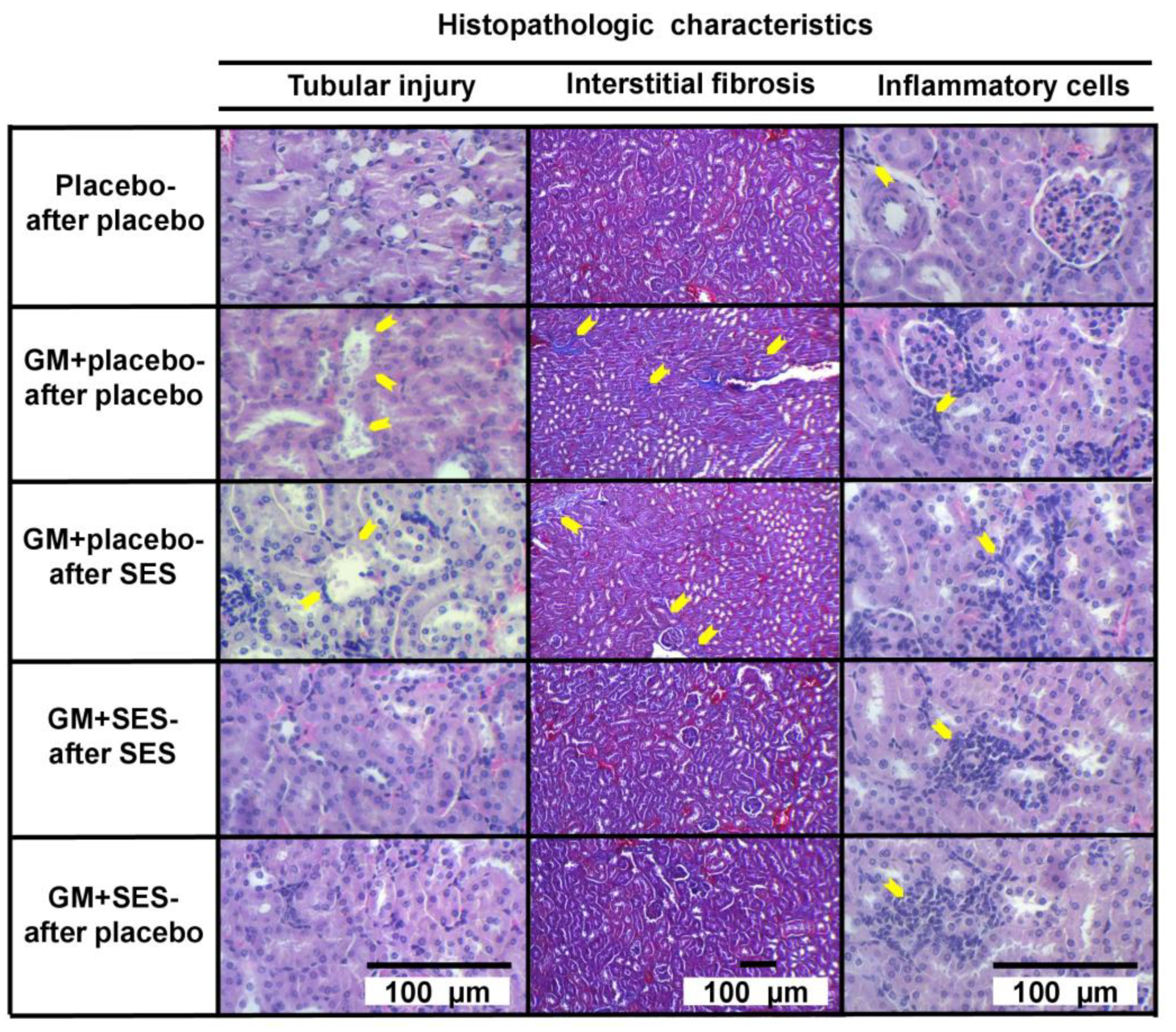 Medicina 59 00397 g002