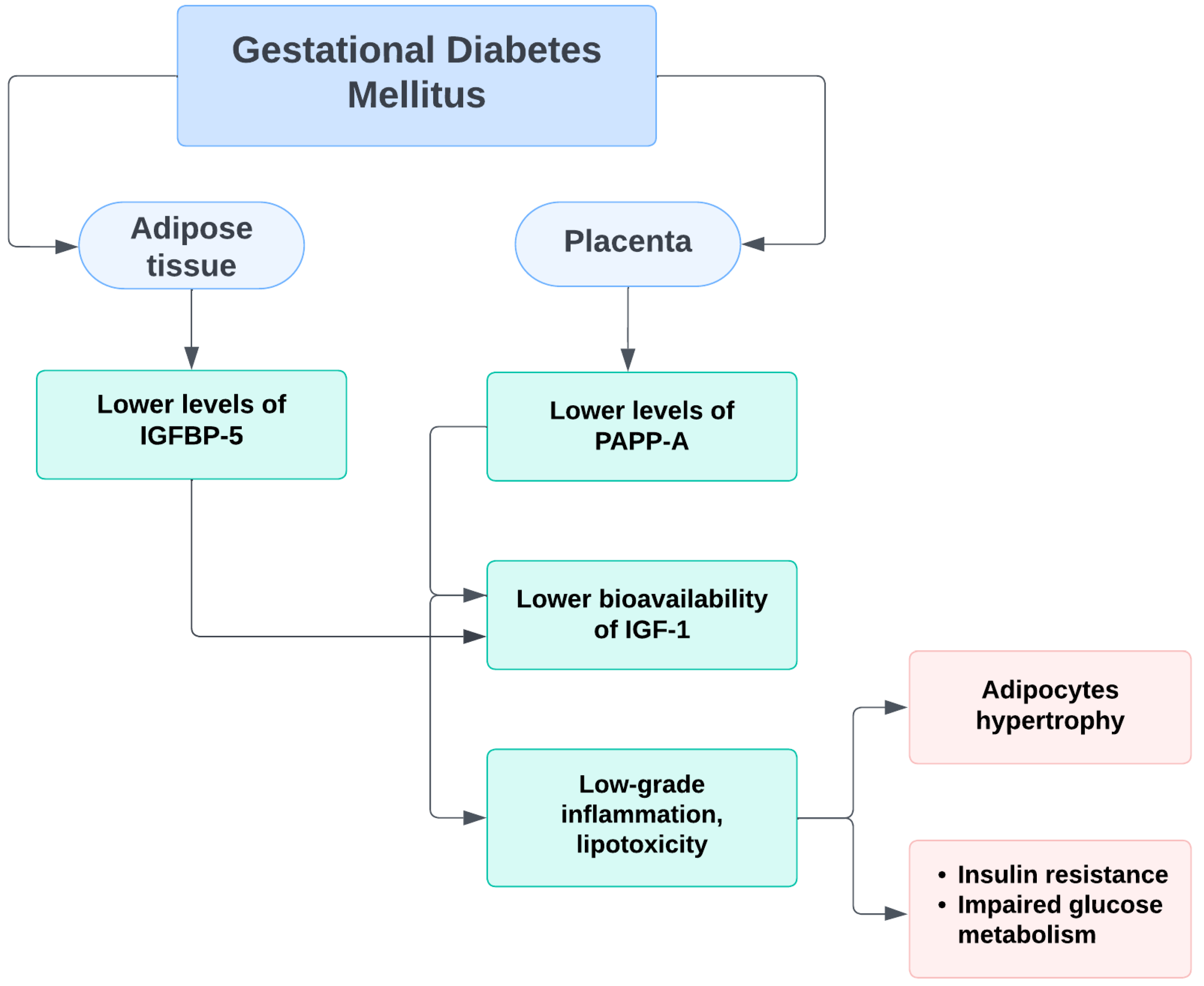Medicina 59 00398 g002 Medicina 59 00398 g002