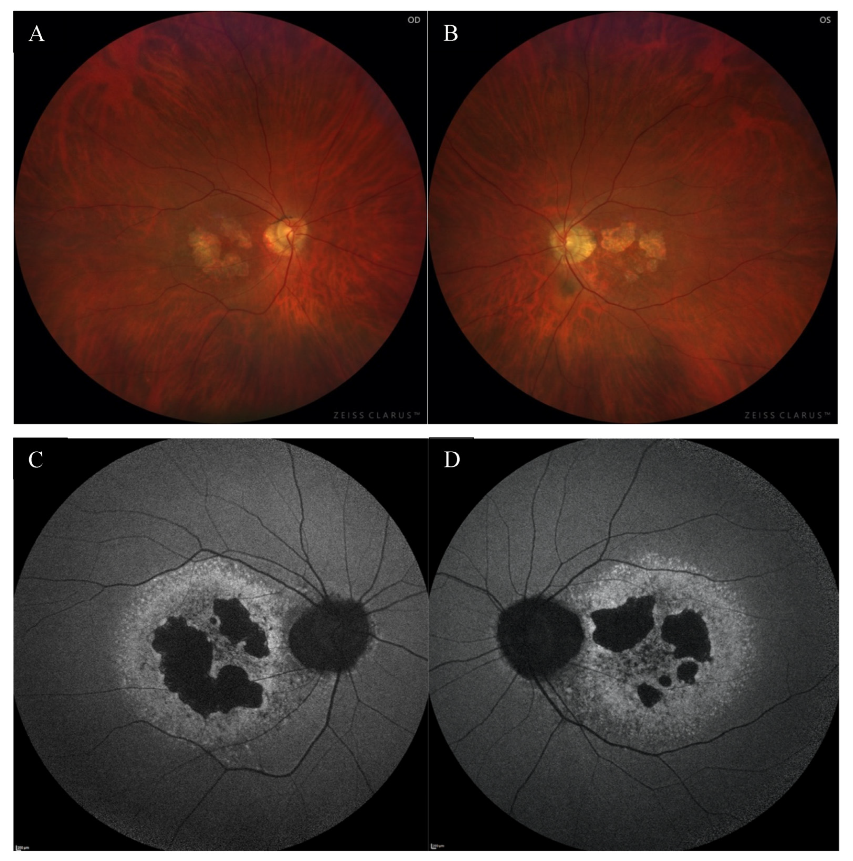 Medicina 59 00399 g001
