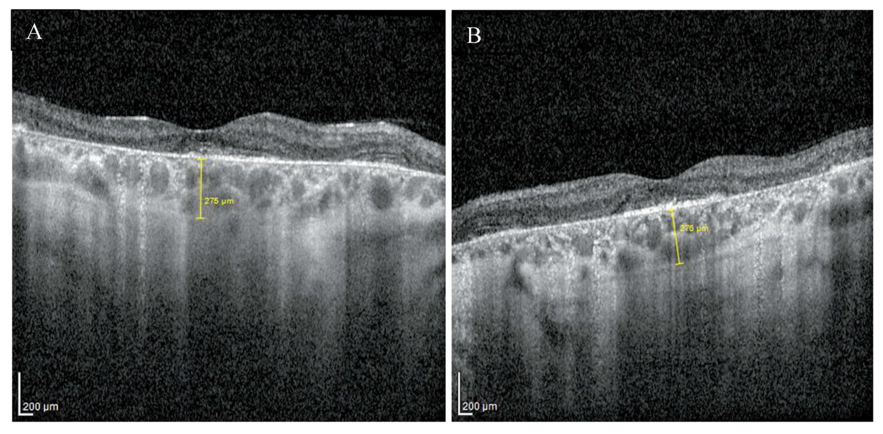 Medicina 59 00399 g002