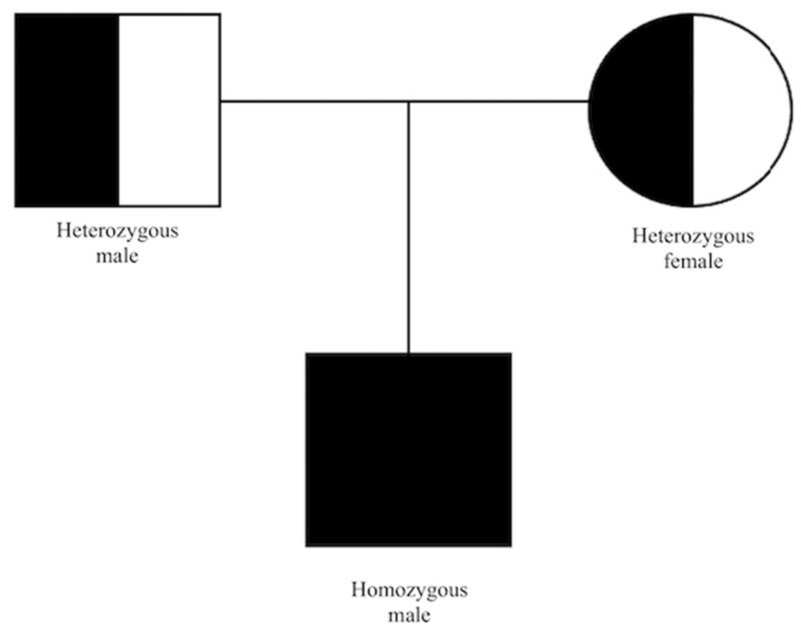 Medicina 59 00399 g006