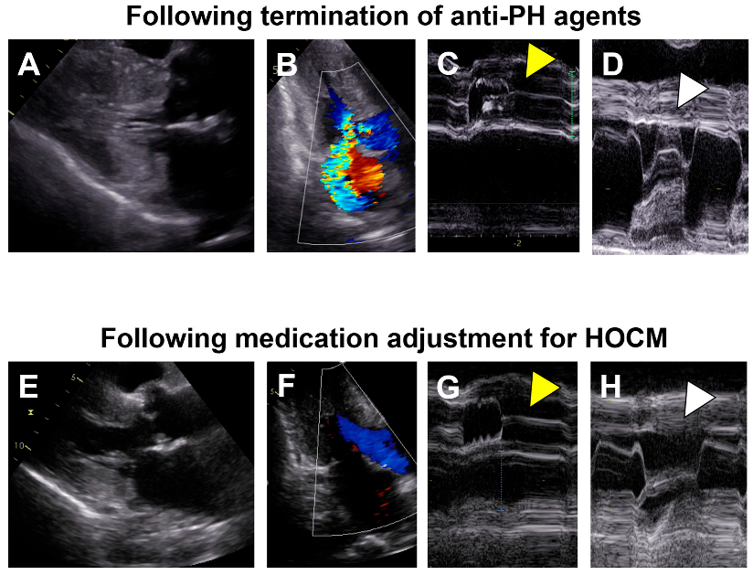 Medicina 59 00401 g002 Medicina 59 00401 g002