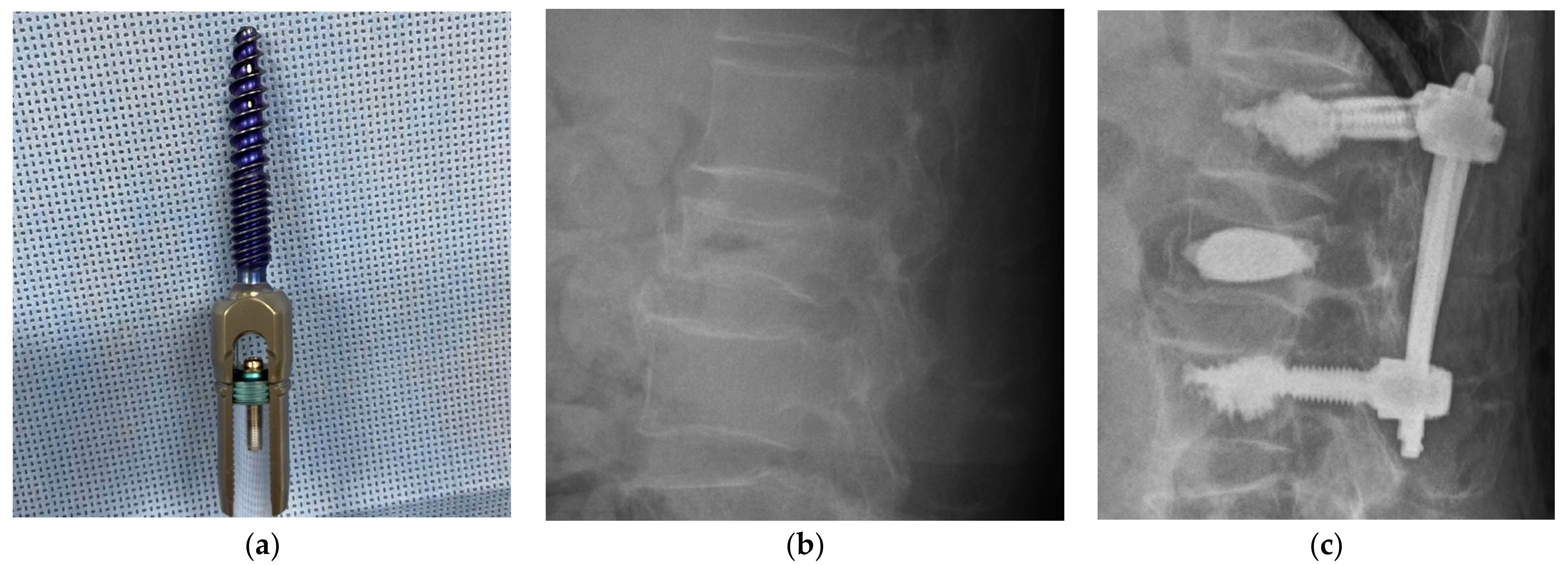 Medicina 59 00407 g001