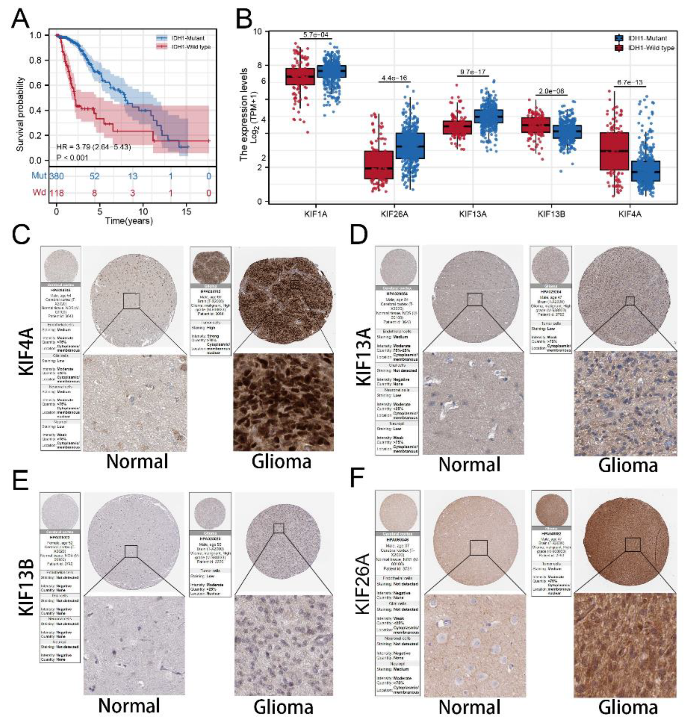 Medicina 59 00414 g008
