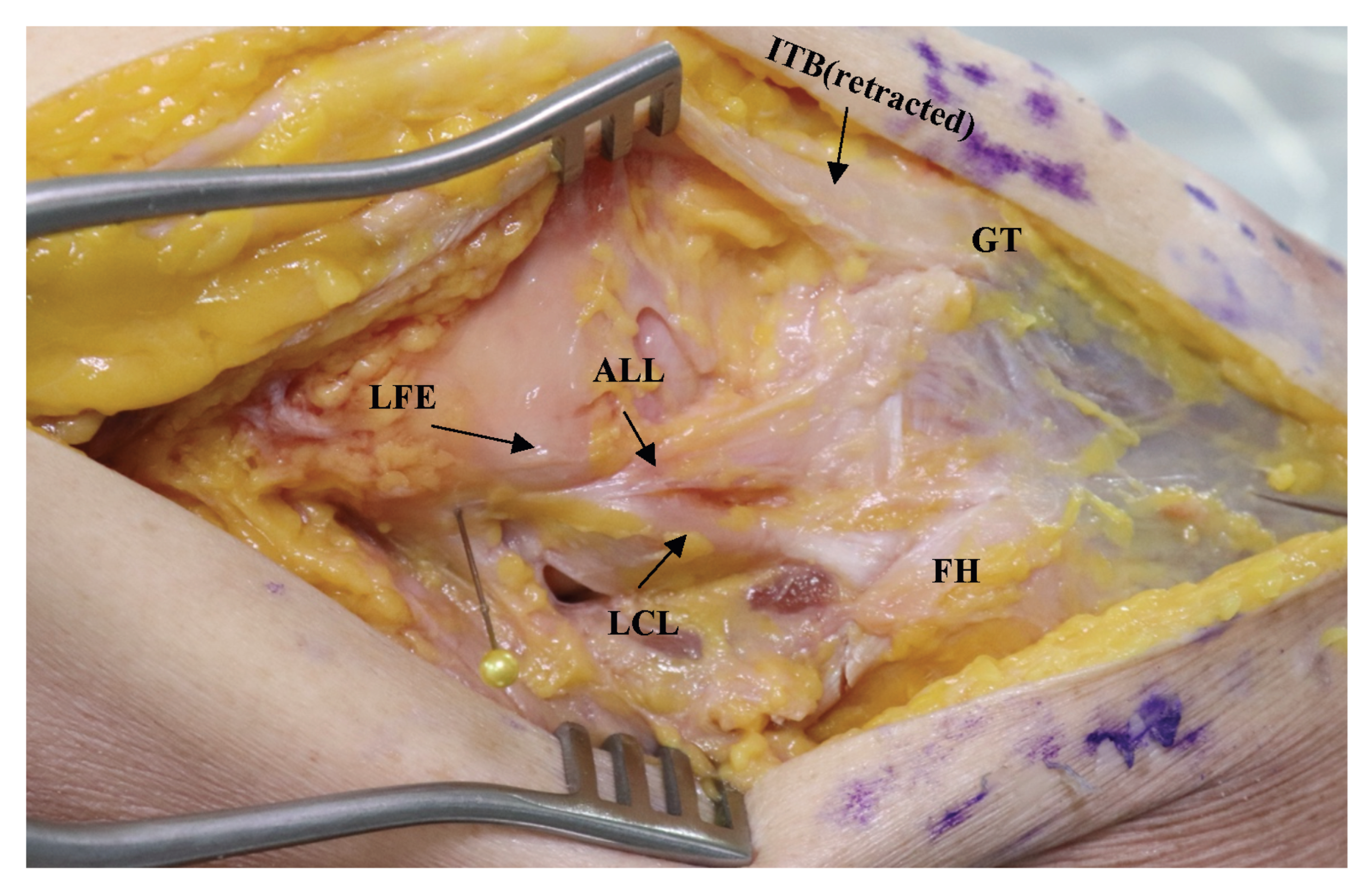 Medicina 59 00419 g001