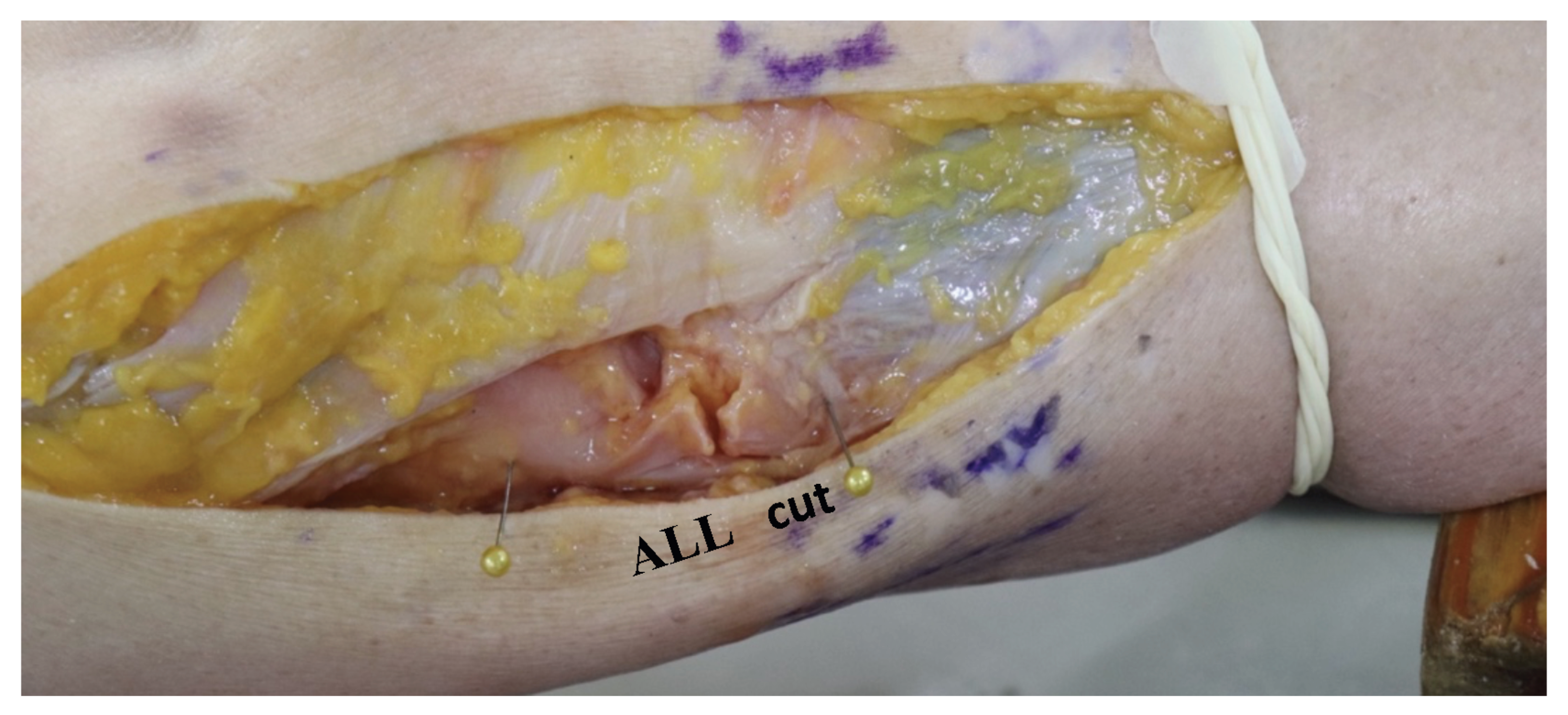 Medicina 59 00419 g002