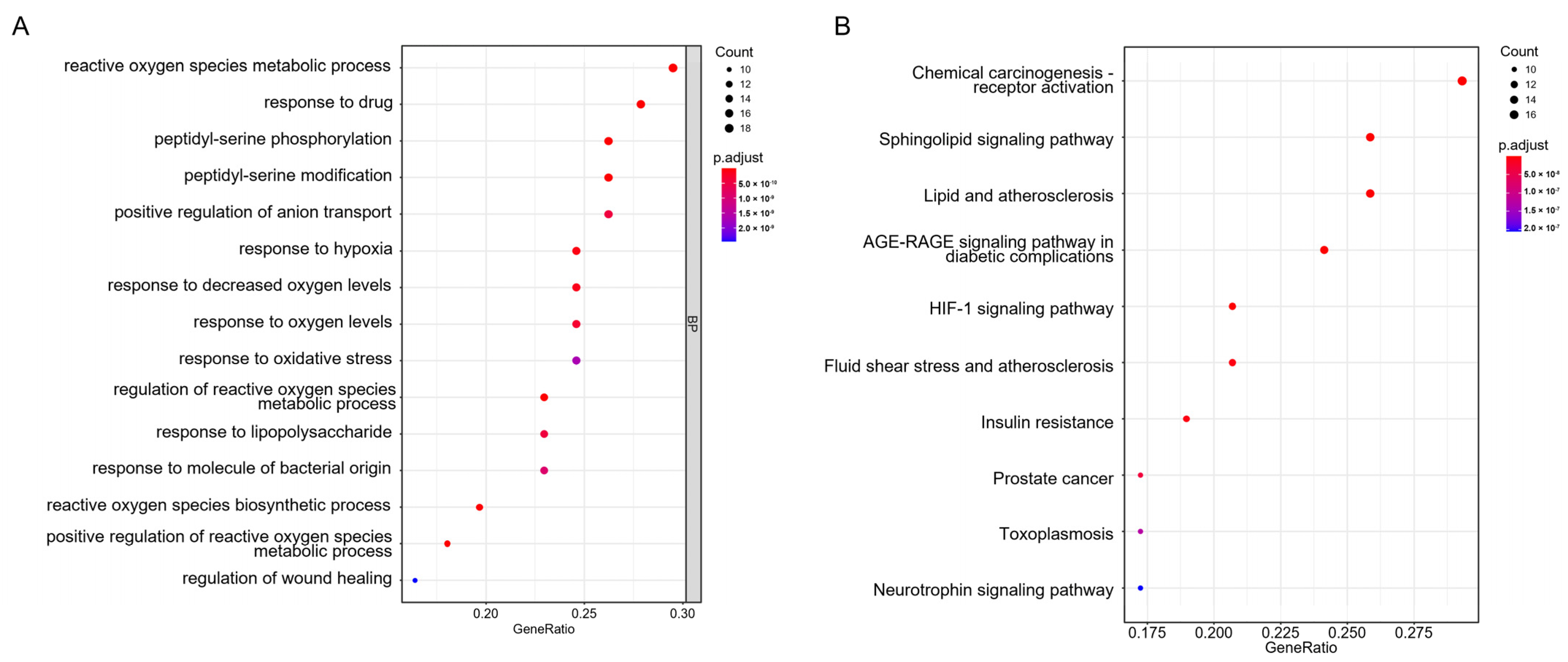 Medicina 59 00420 g004 Medicina 59 00420 g004
