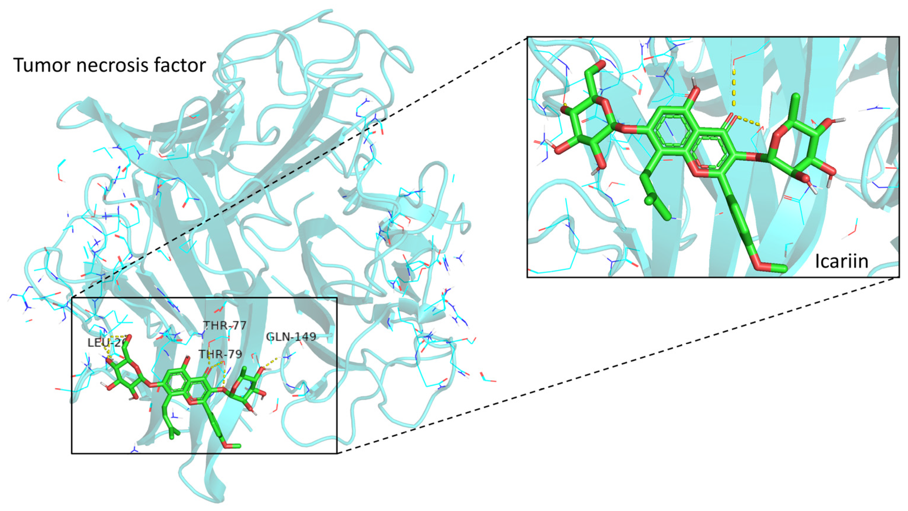 Medicina 59 00420 g005 Medicina 59 00420 g005