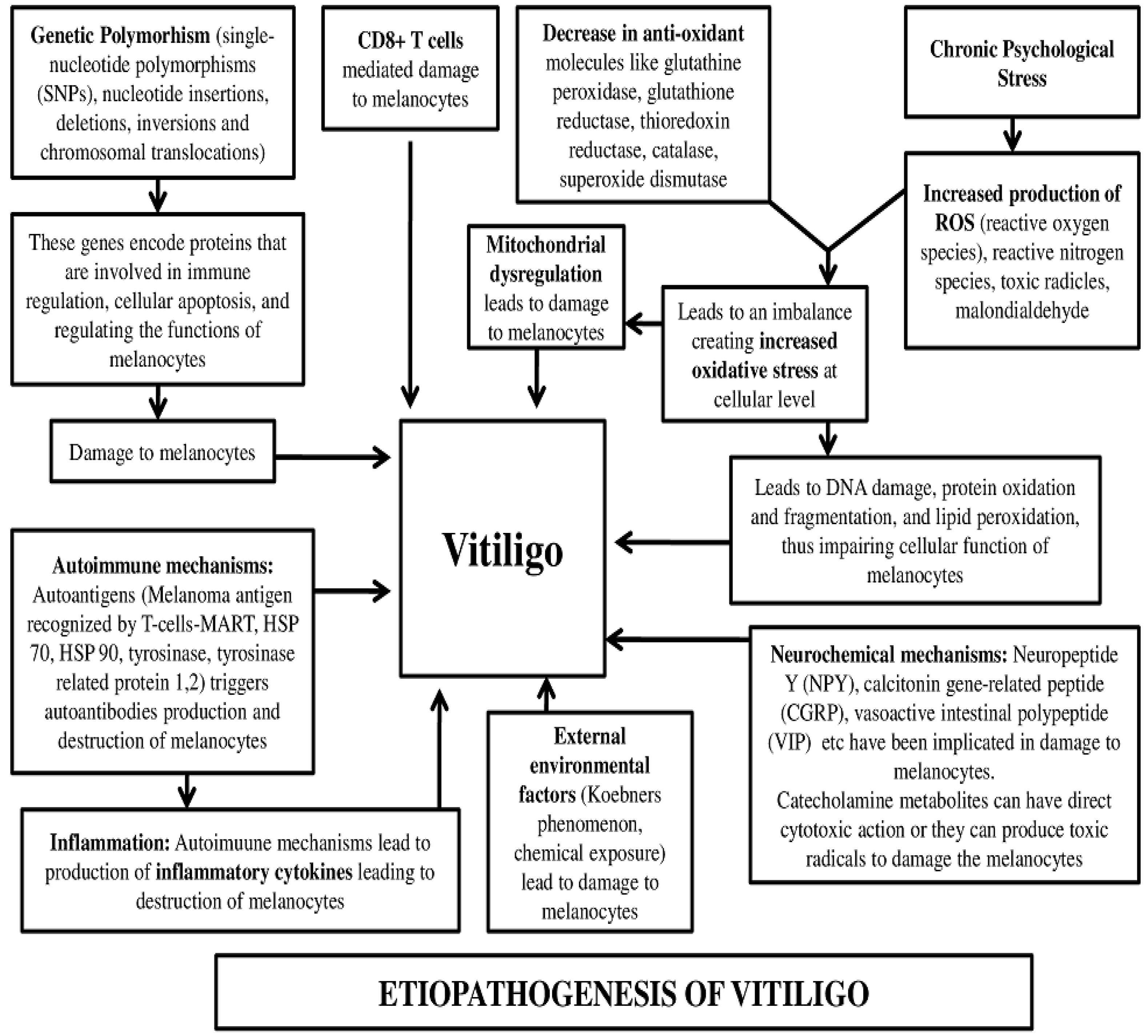 Medicina 59 00427 g003