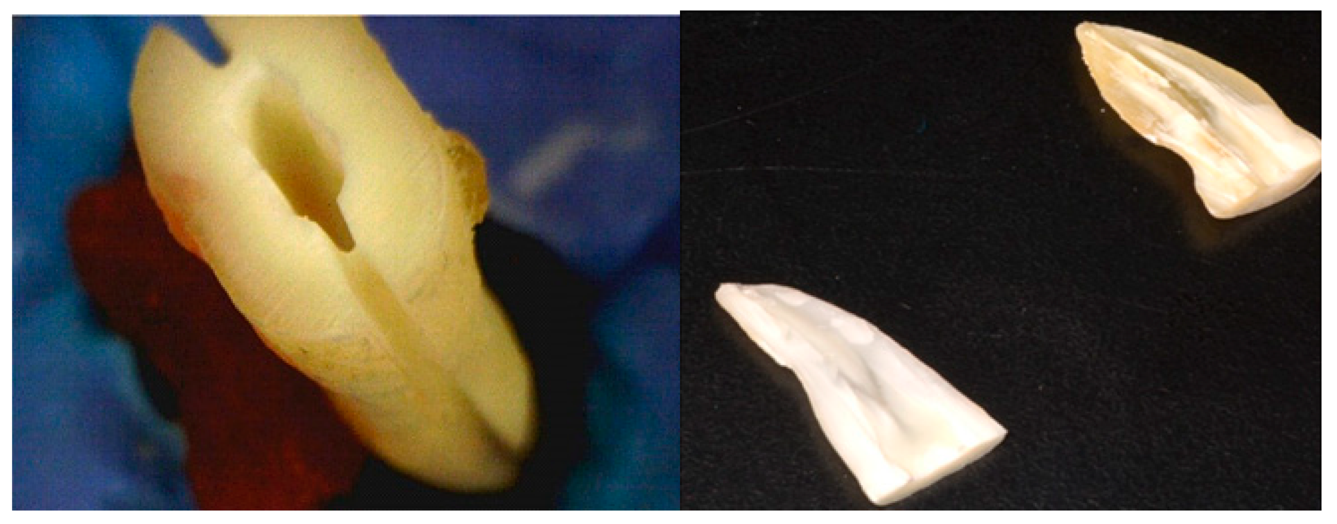 Medicina 59 00433 g001 Medicina 59 00433 g001