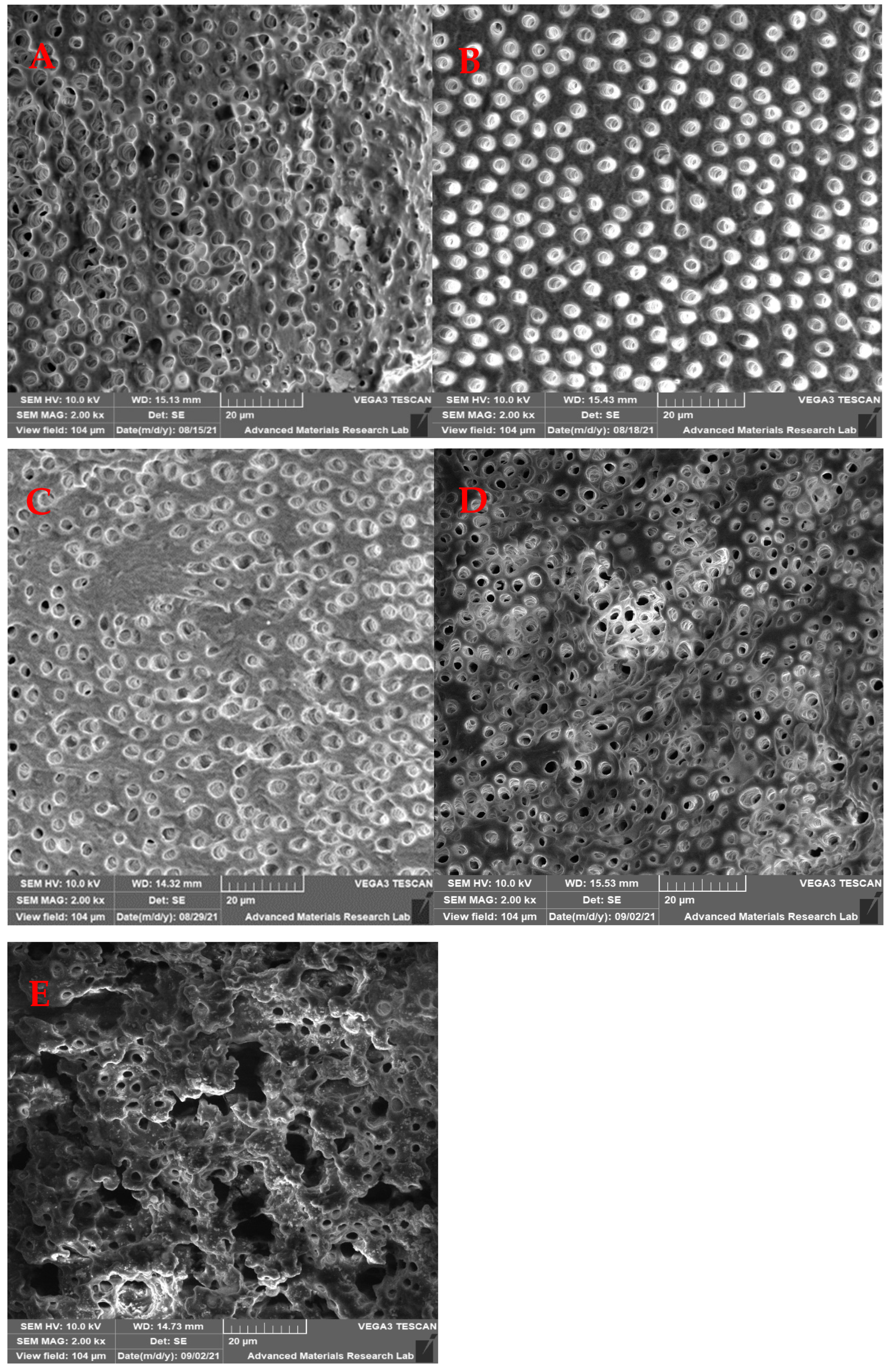 Medicina 59 00433 g002 Medicina 59 00433 g002