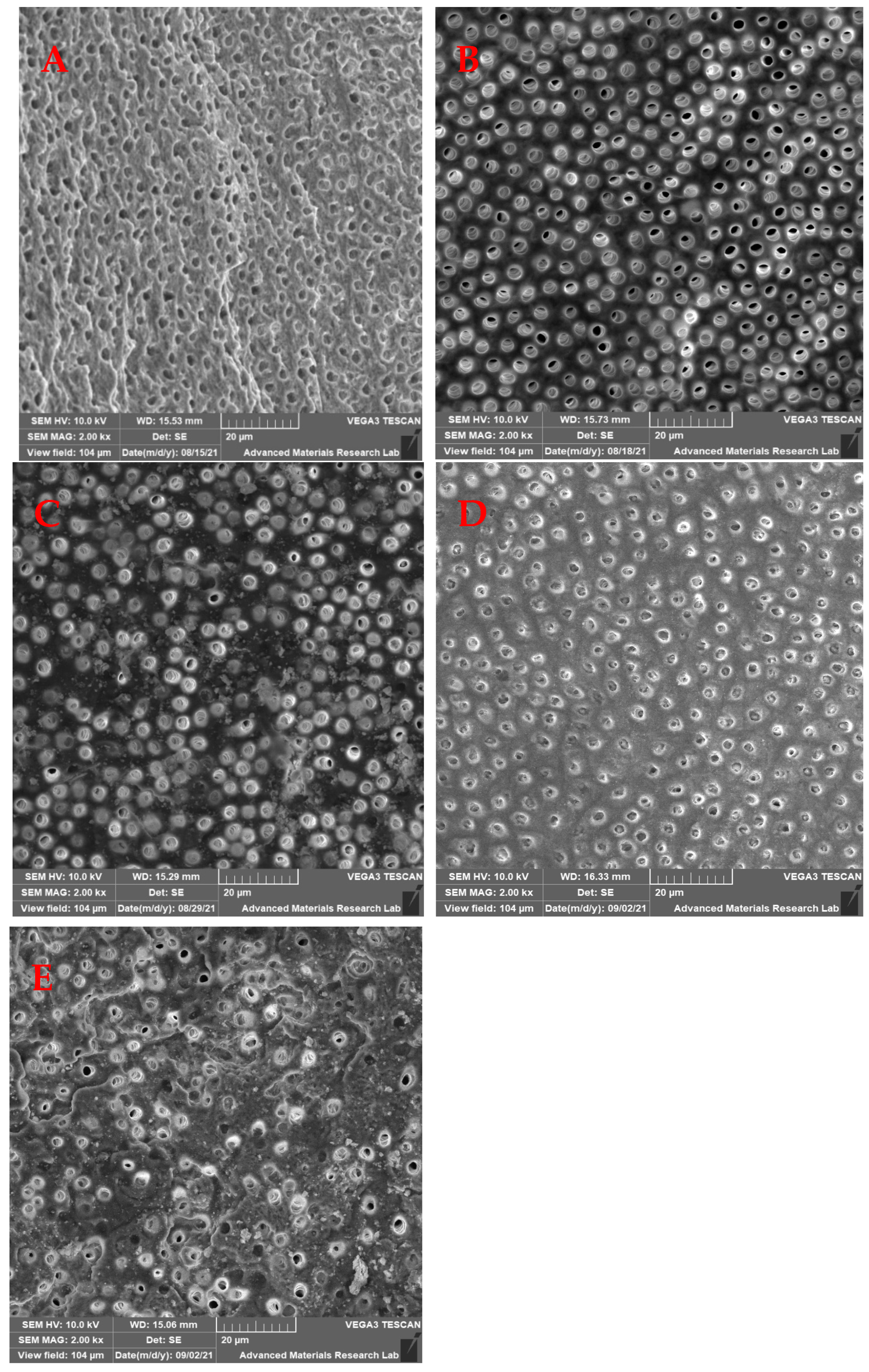 Medicina 59 00433 g003 Medicina 59 00433 g003