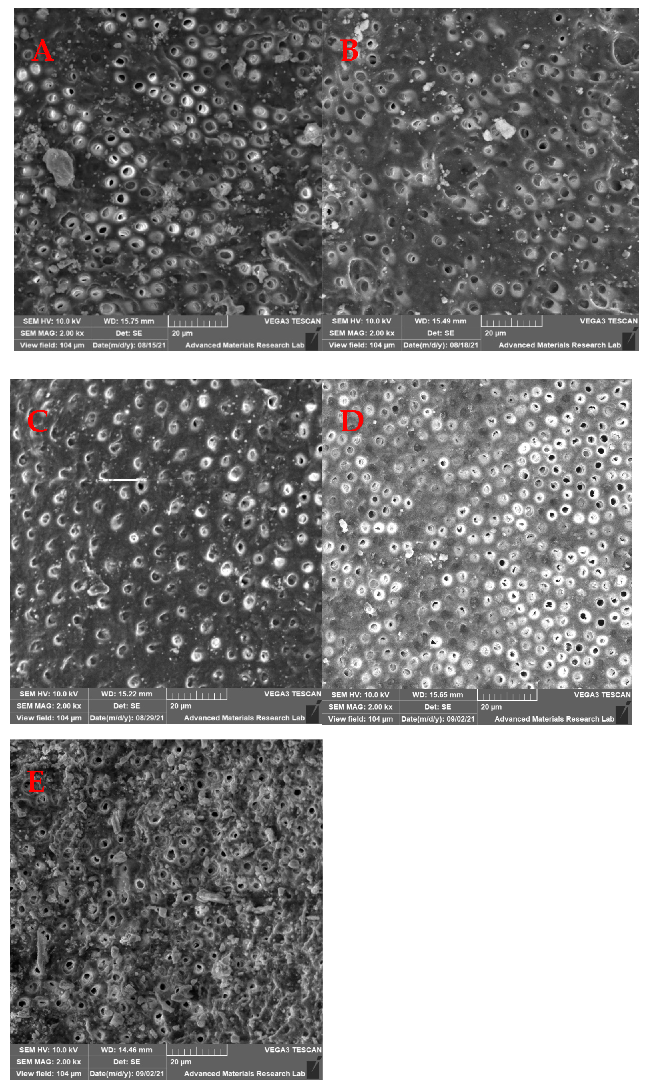 Medicina 59 00433 g004 Medicina 59 00433 g004