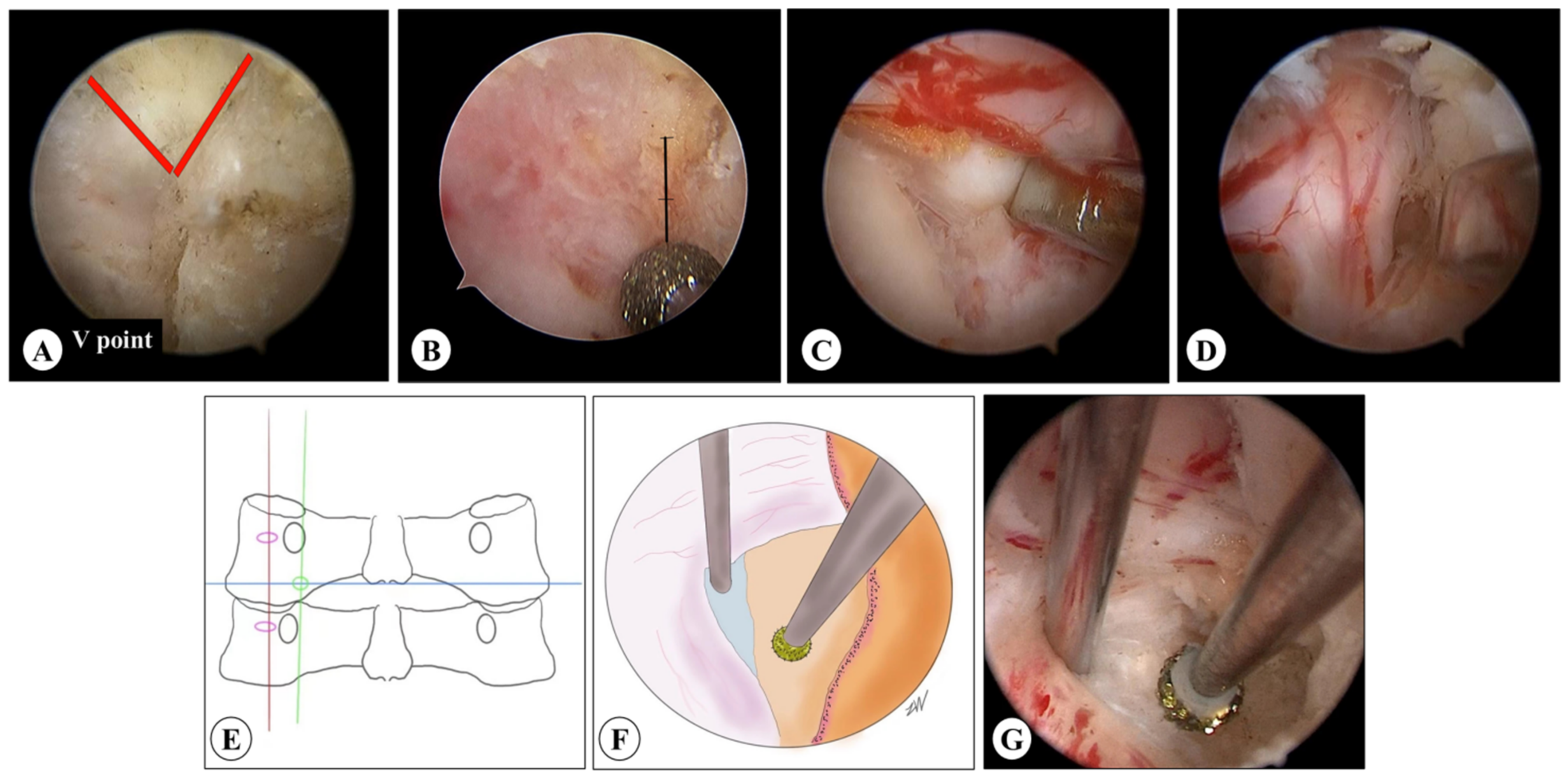 Medicina 59 00437 g003