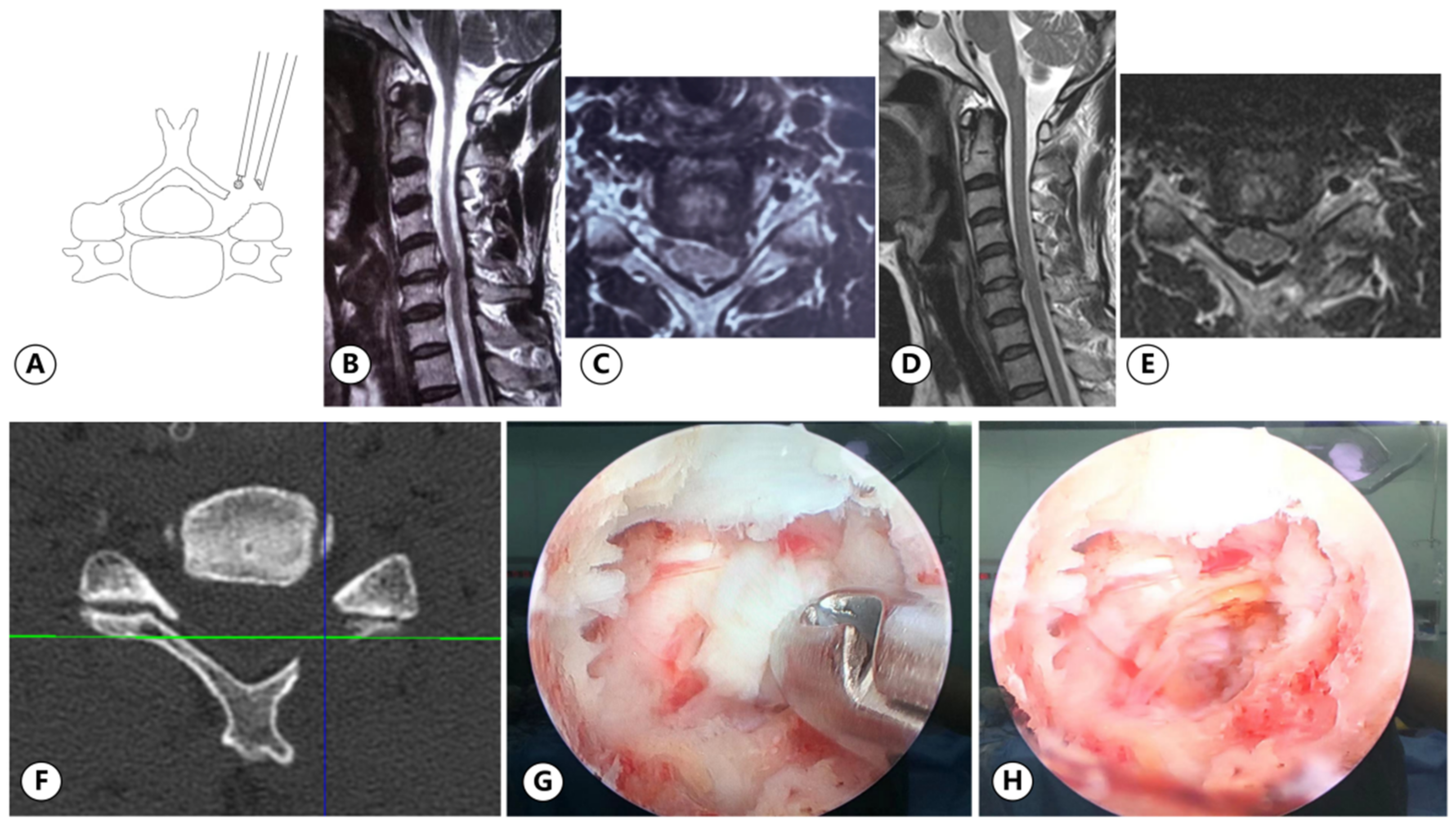 Medicina 59 00437 g007
