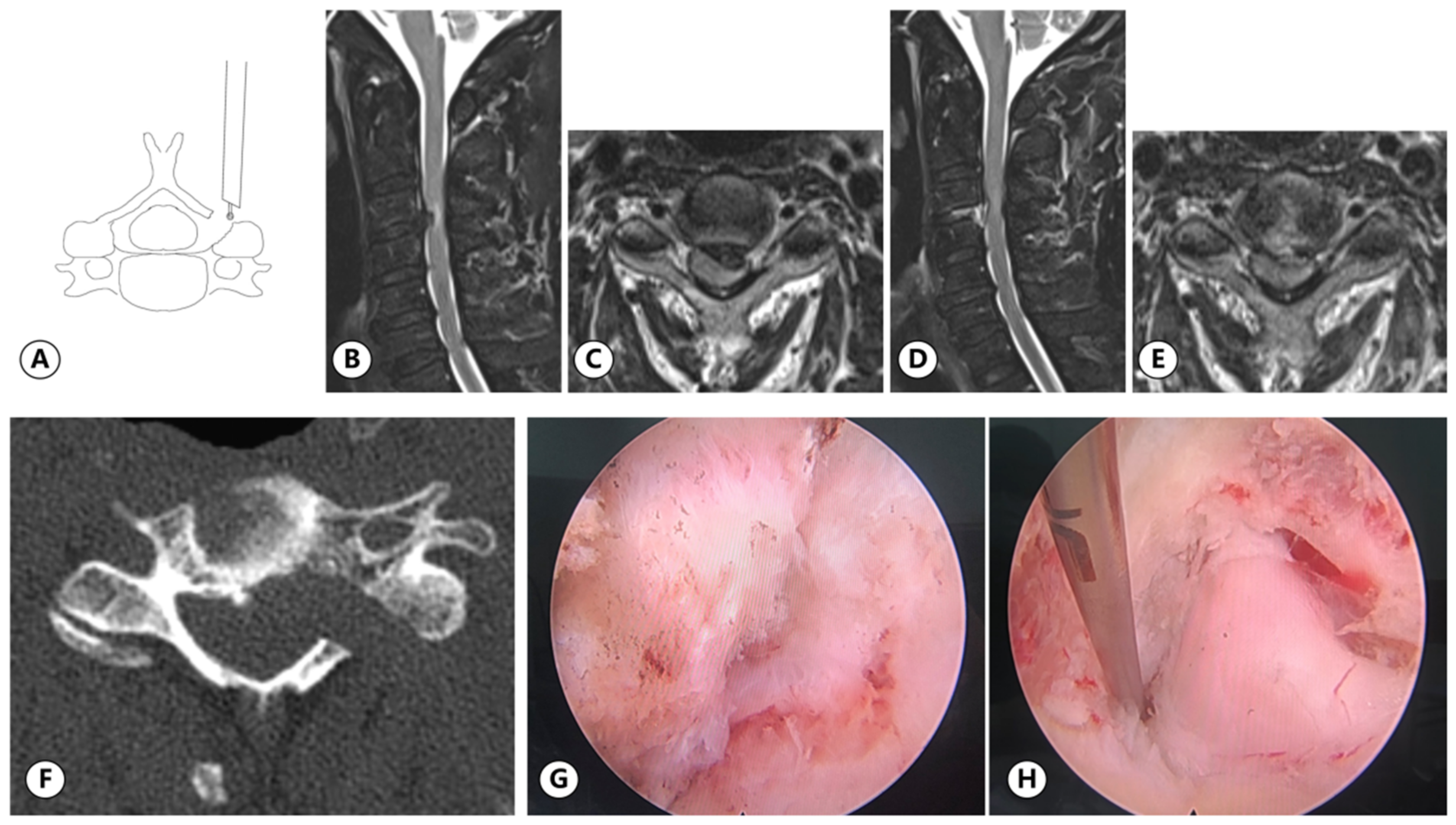 Medicina 59 00437 g008