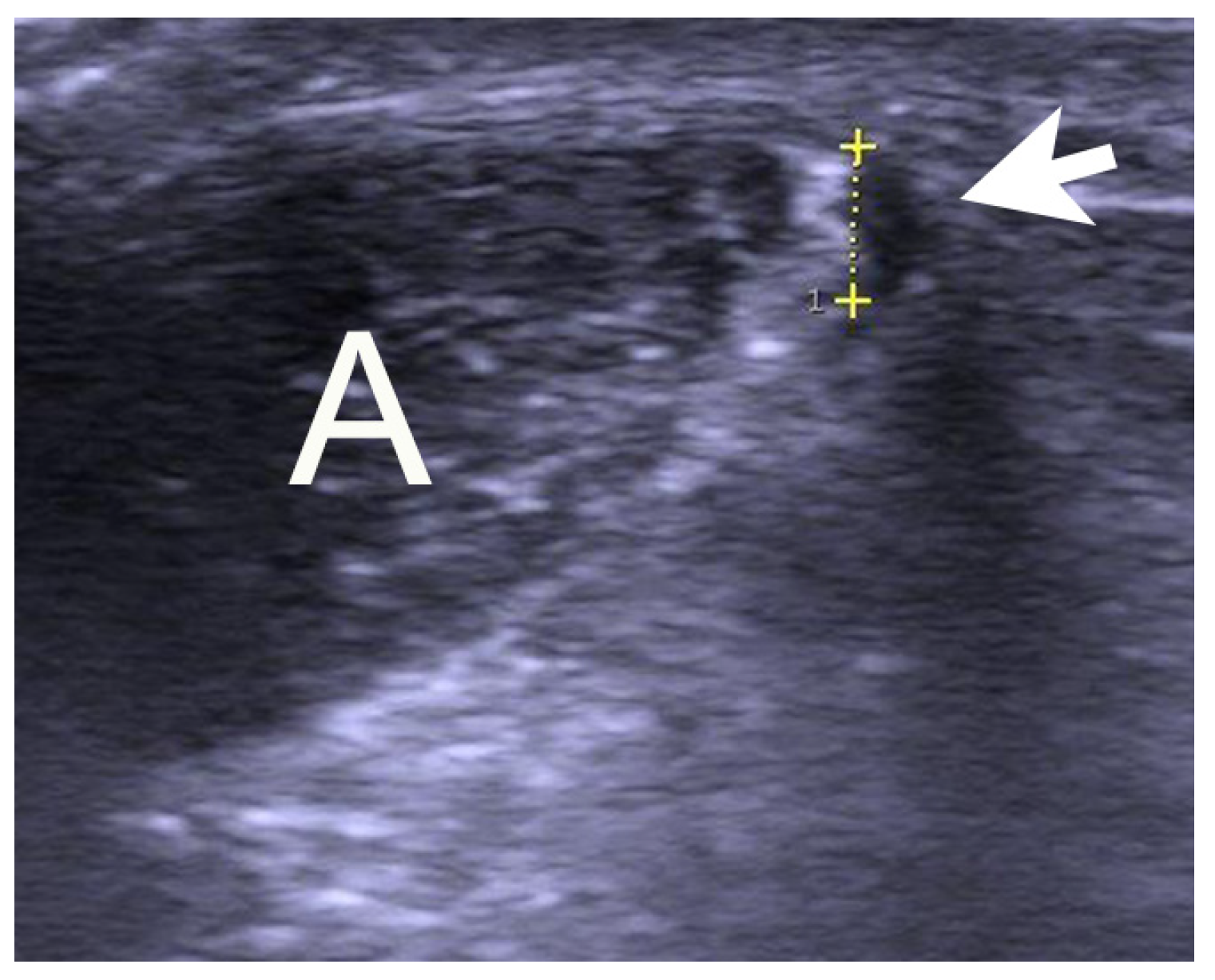 Medicina 59 00438 g001