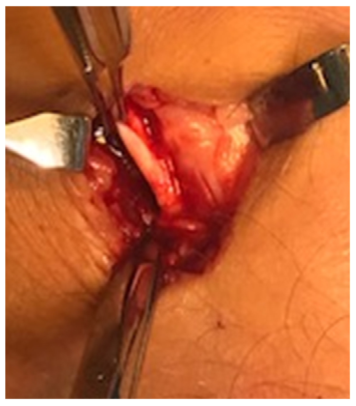 Medicina 59 00438 g002