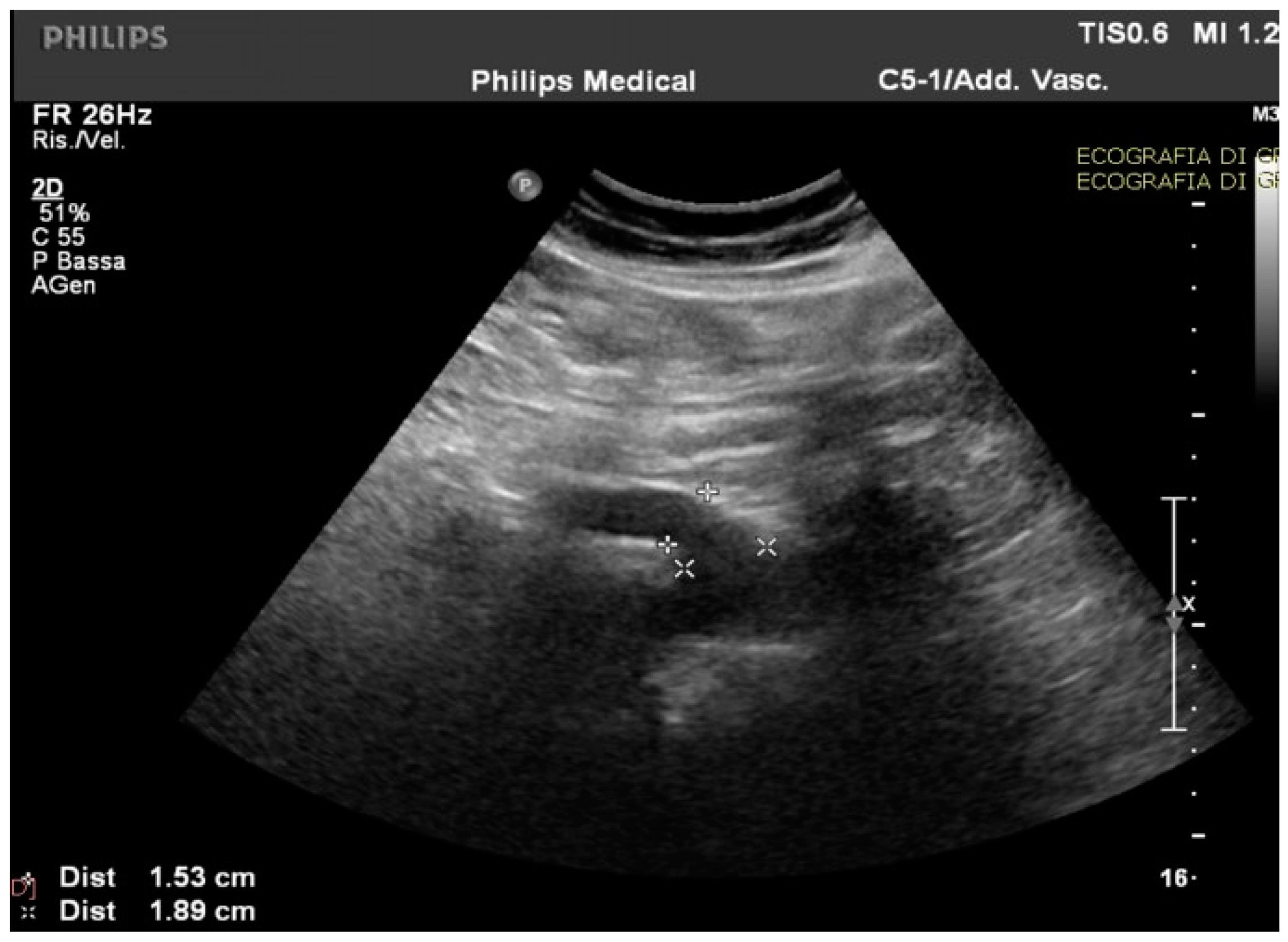 Medicina 59 00442 g001