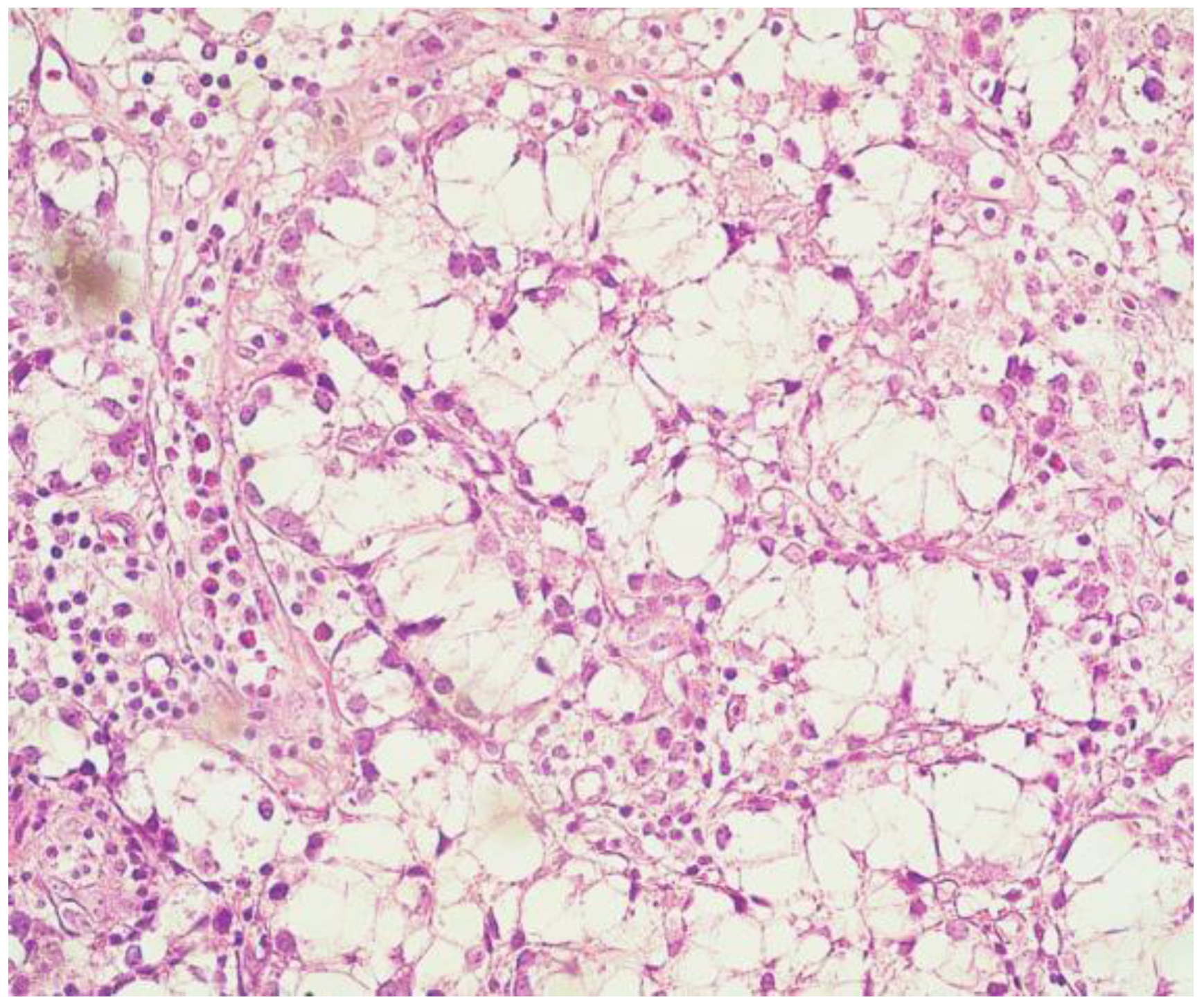 Medicina 59 00448 g002 Medicina 59 00448 g002