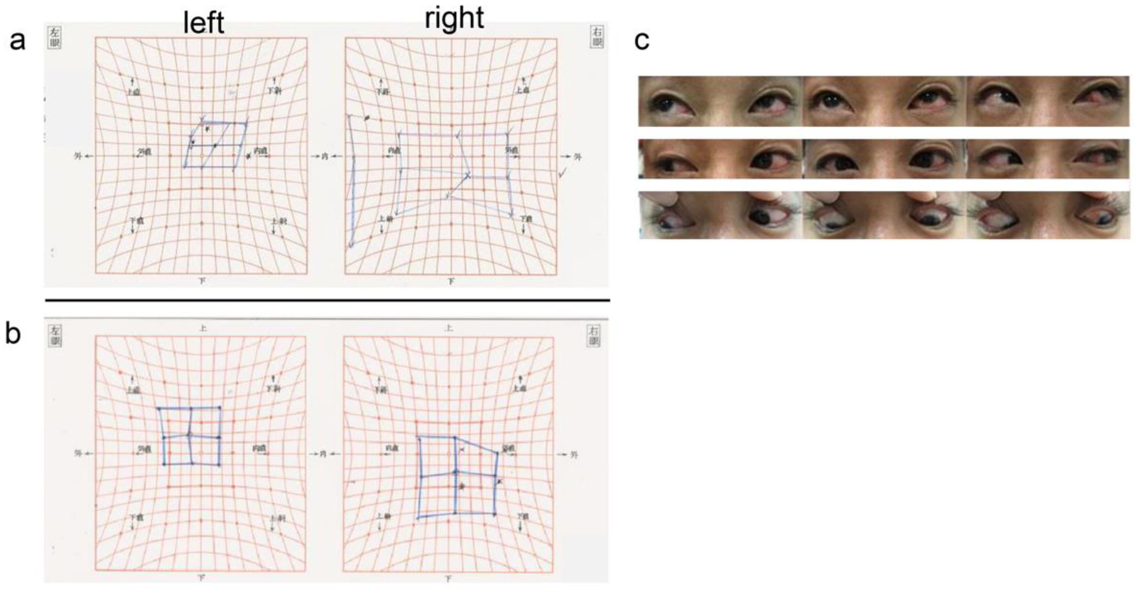 Medicina 59 00449 g002