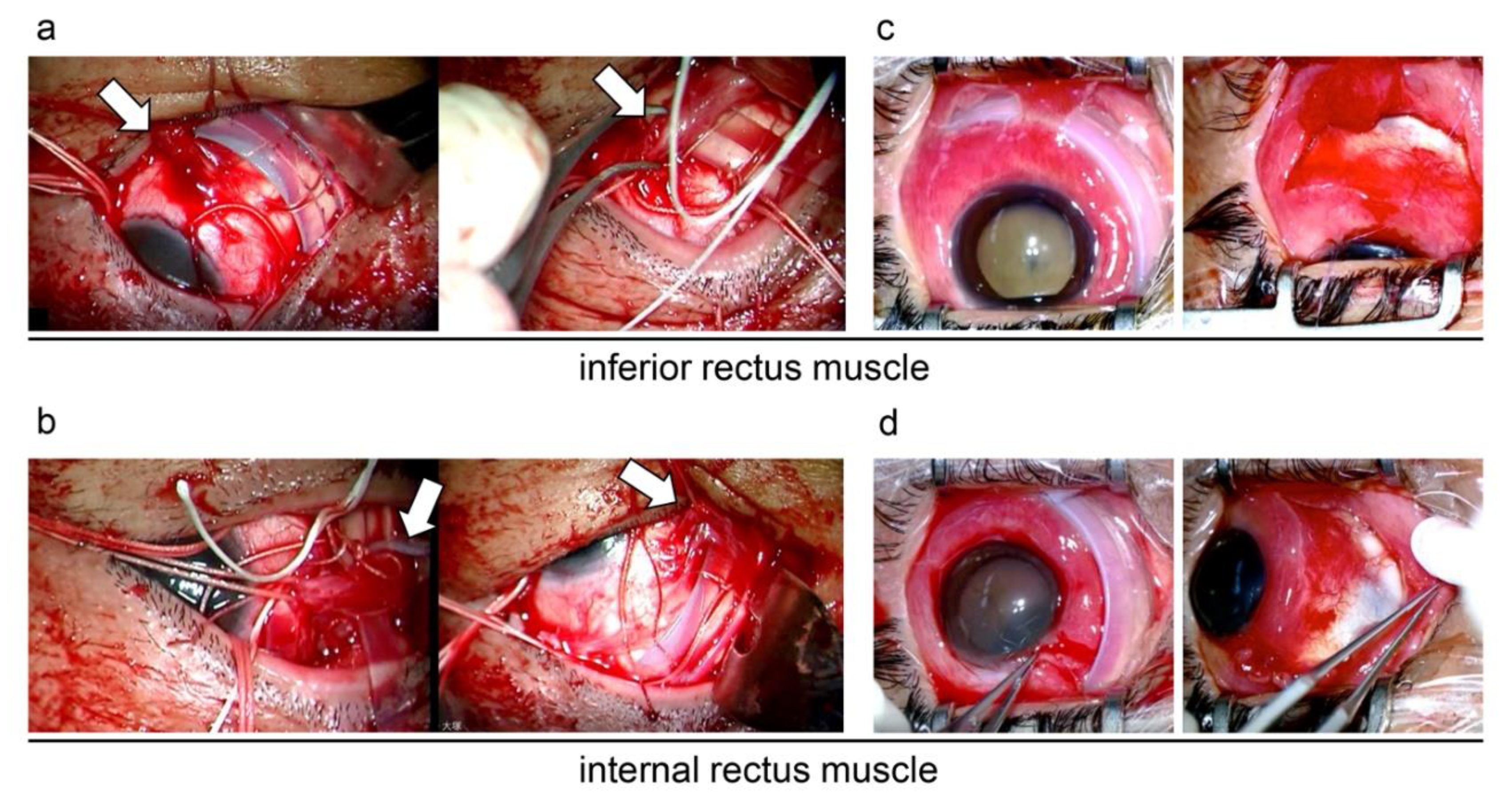 Medicina 59 00449 g003