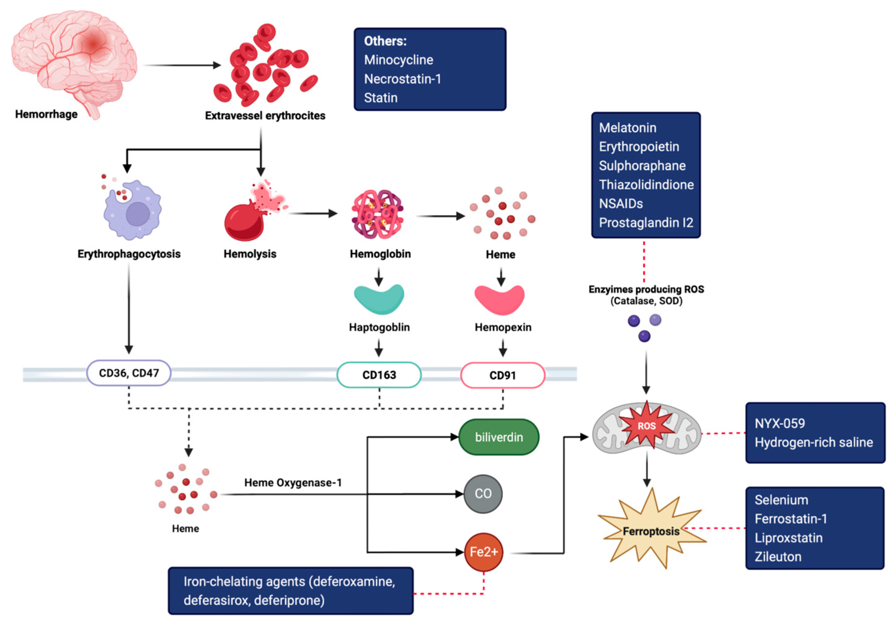 Medicina 59 00453 g002