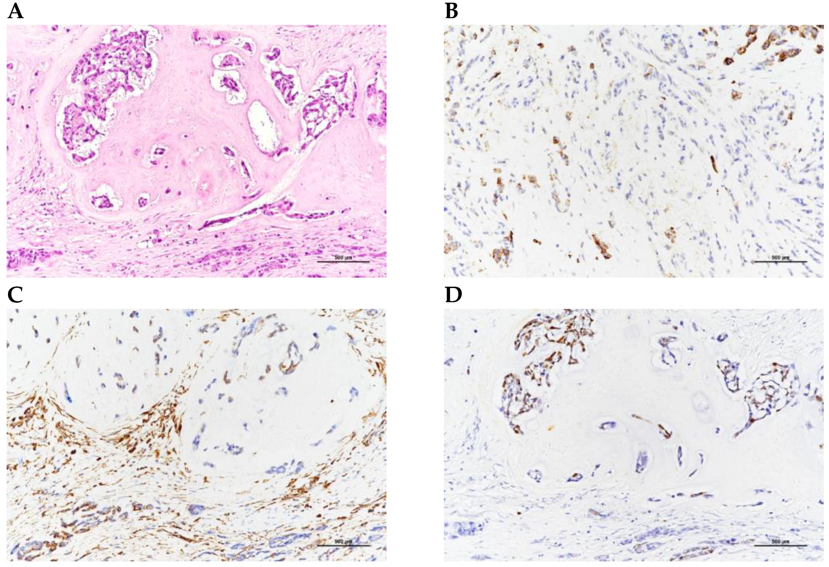 Medicina 59 00454 g002
