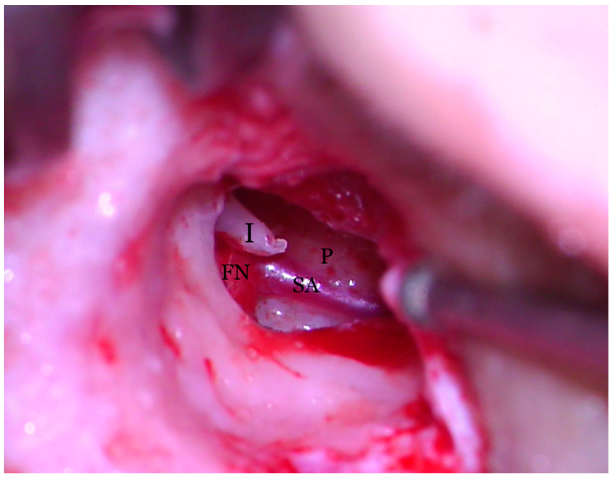 Medicina 59 00461 g007