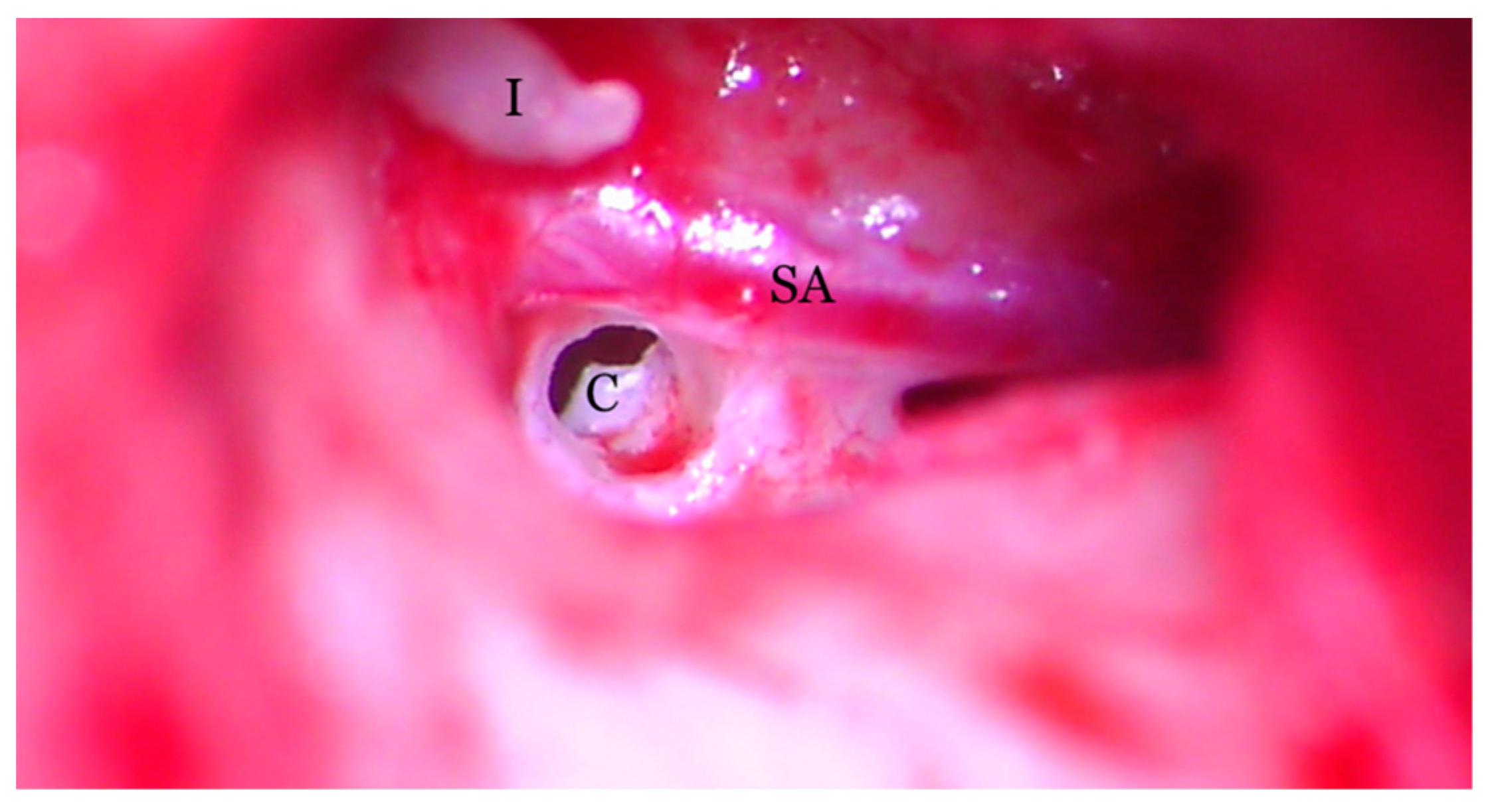 Medicina 59 00461 g008