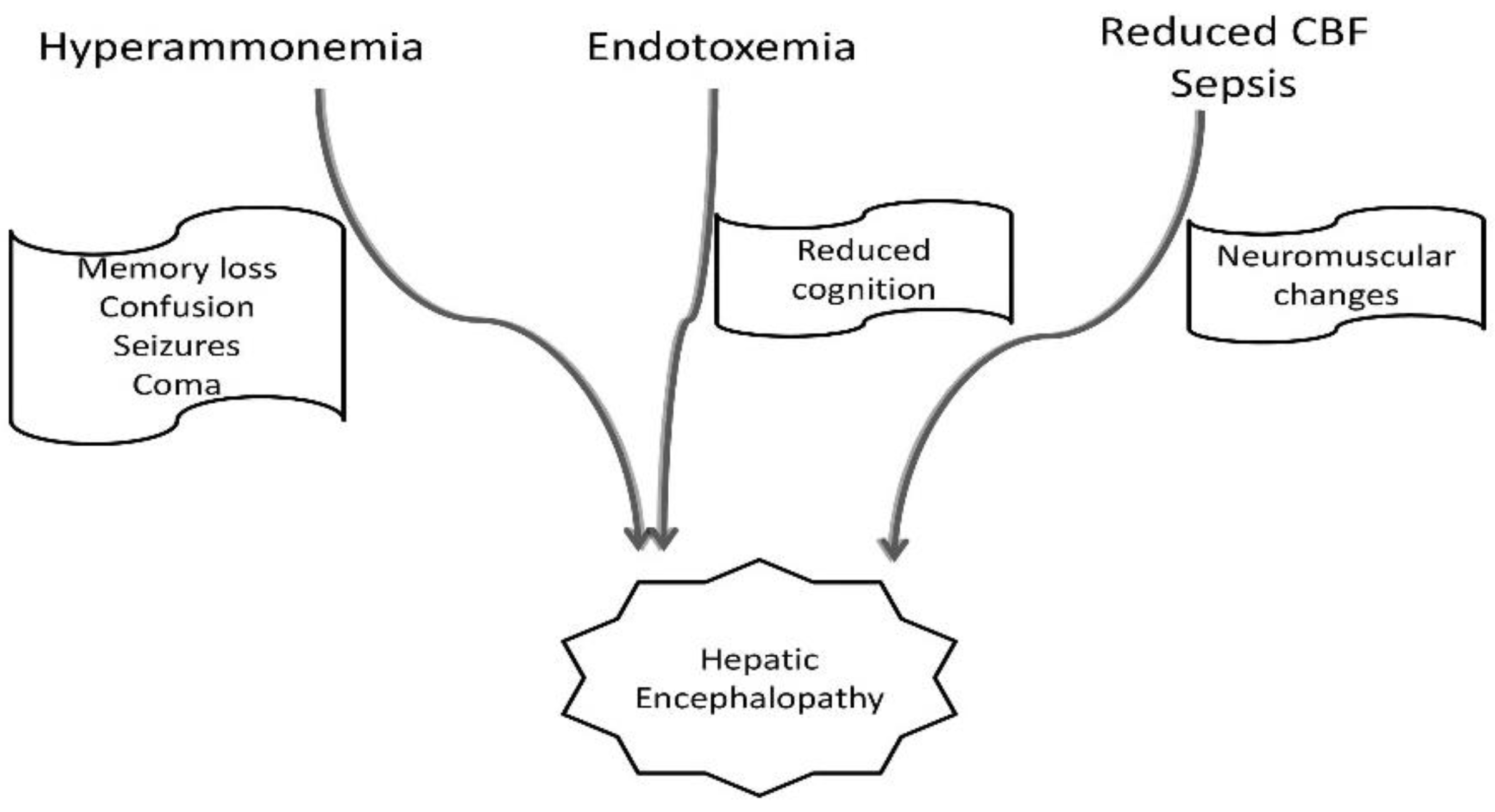 Medicina 59 00465 g002 Medicina 59 00465 g002