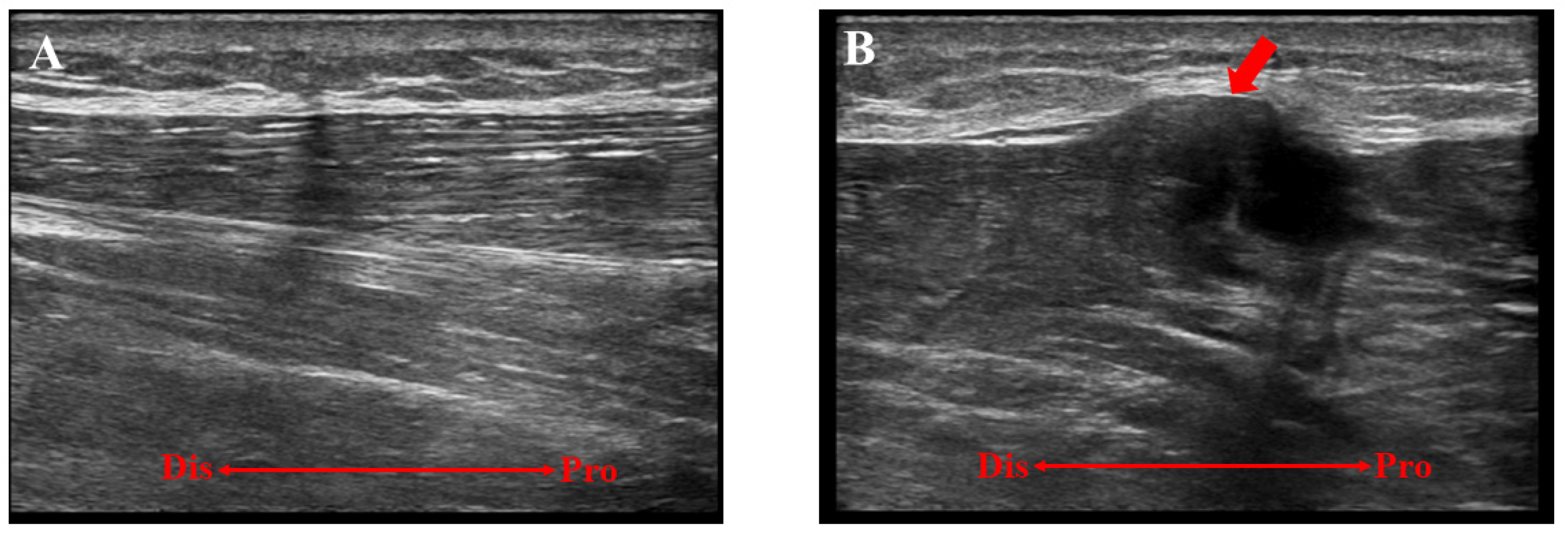 Medicina 59 00466 g002 Medicina 59 00466 g002
