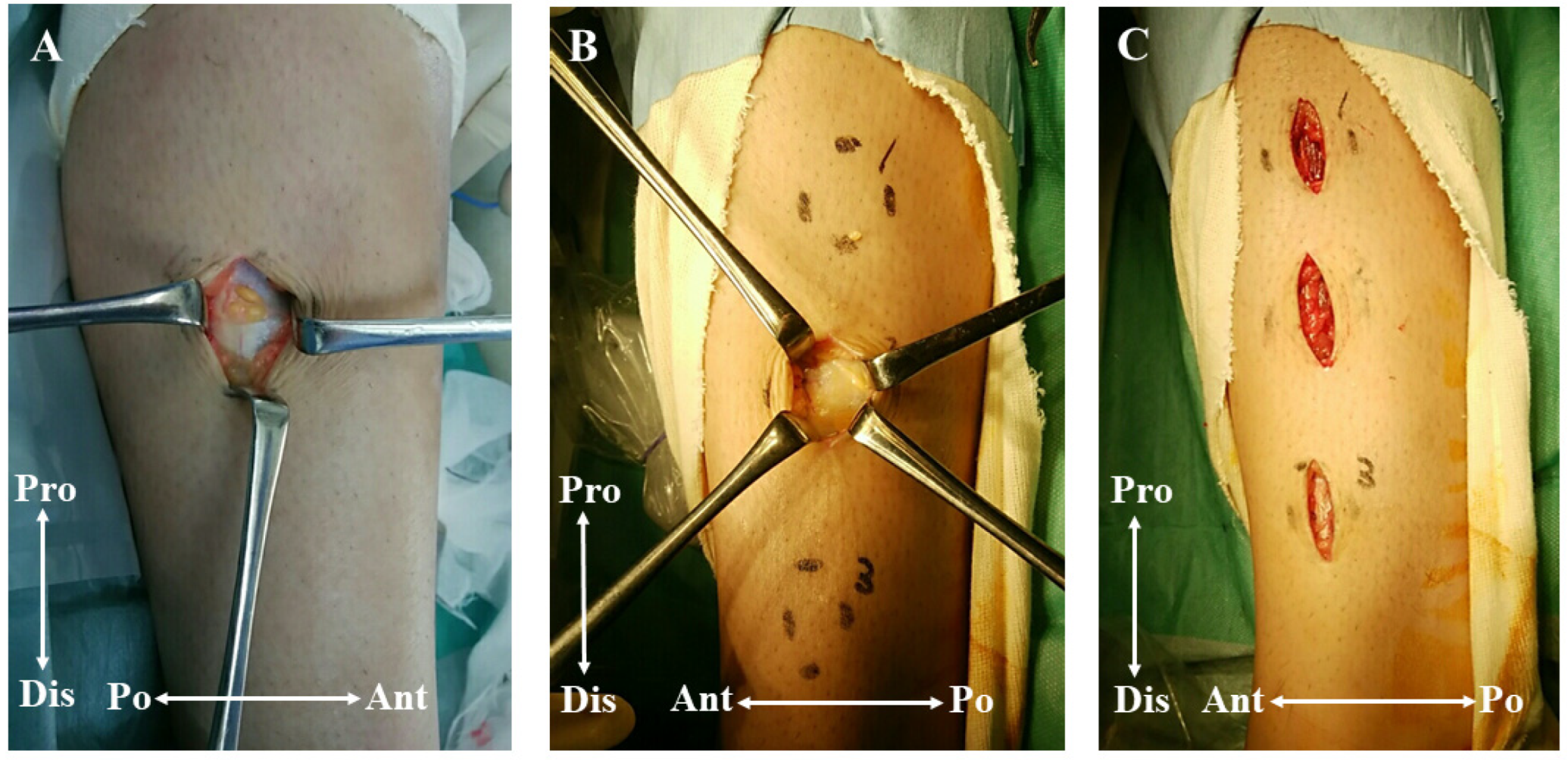 Medicina 59 00466 g004 Medicina 59 00466 g004