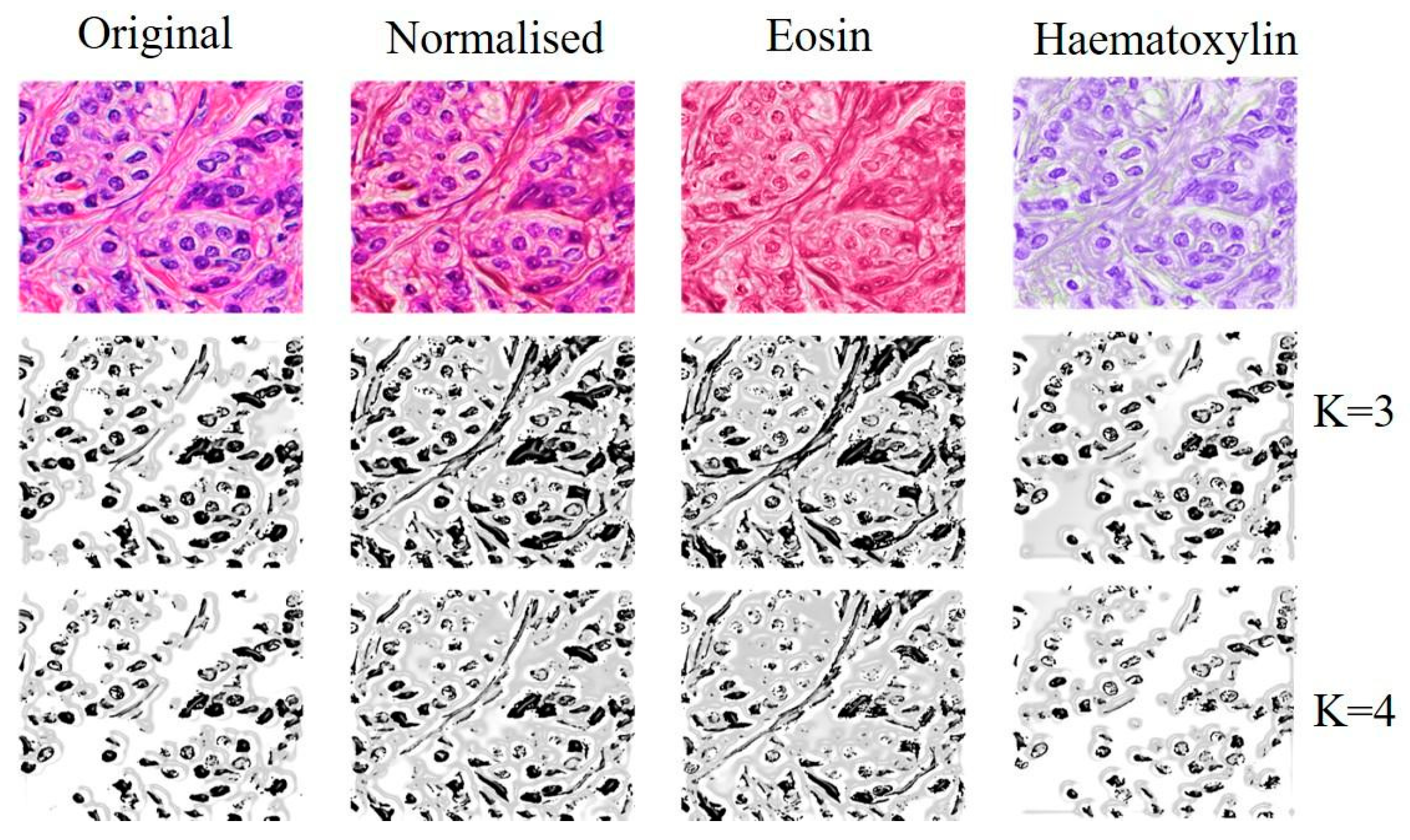 Medicina 59 00487 g004 Medicina 59 00487 g004