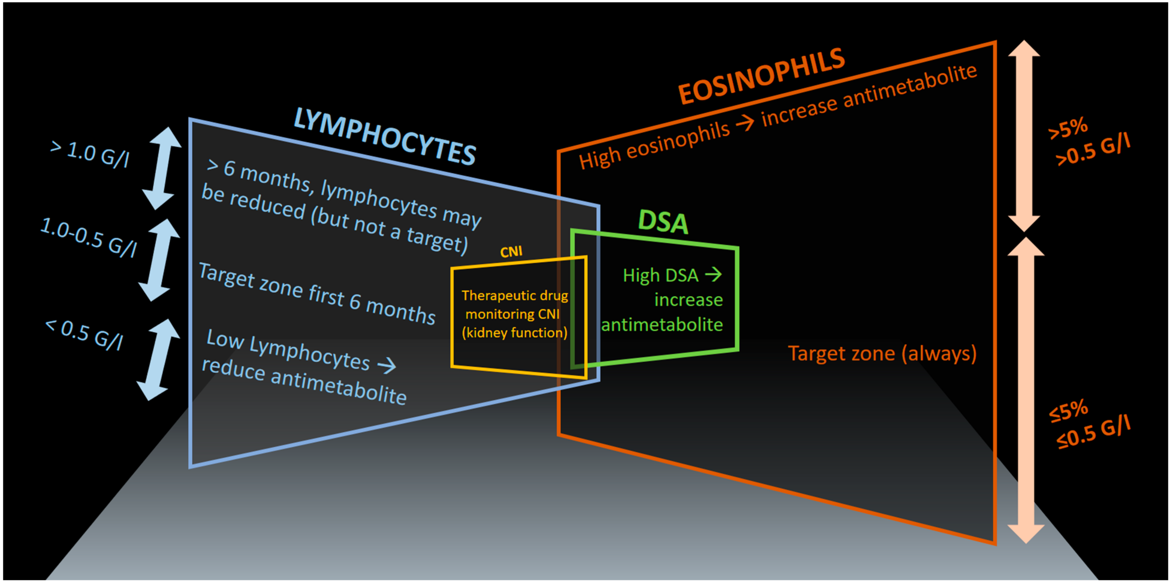 Medicina 59 00488 g001