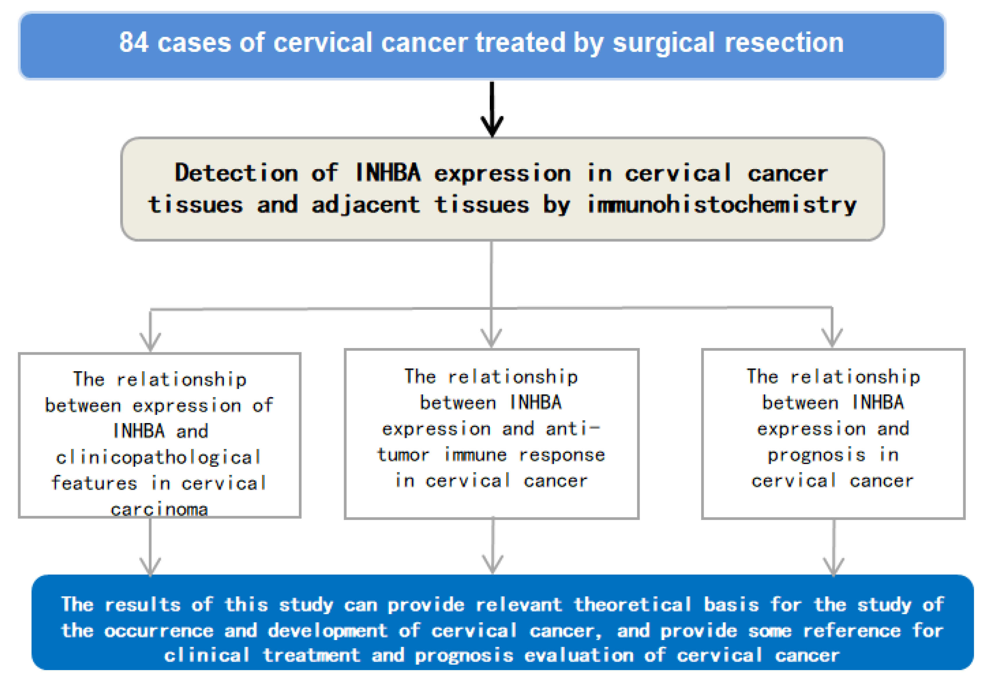 Medicina 59 00495 g001