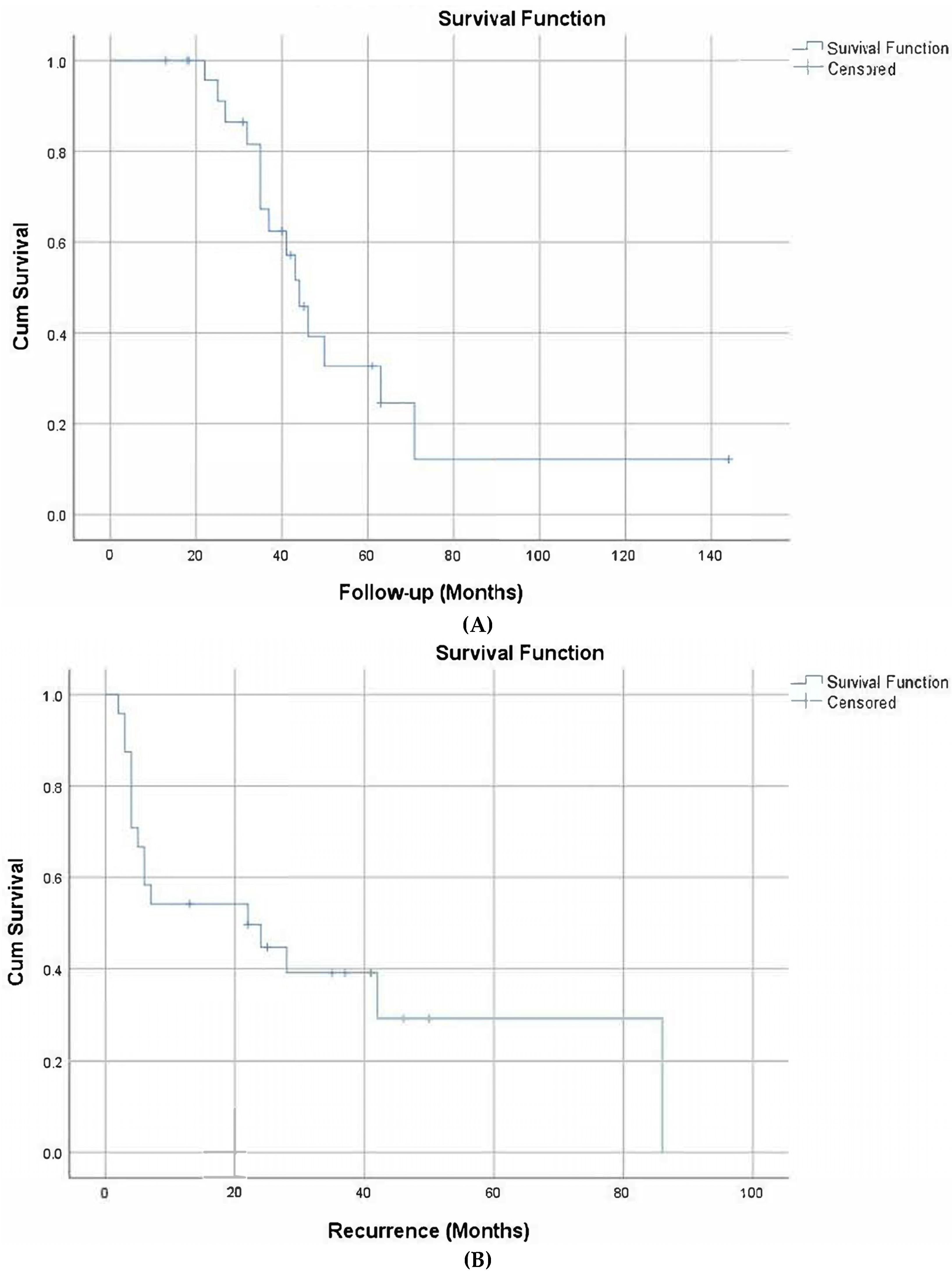 Medicina 59 00498 g001