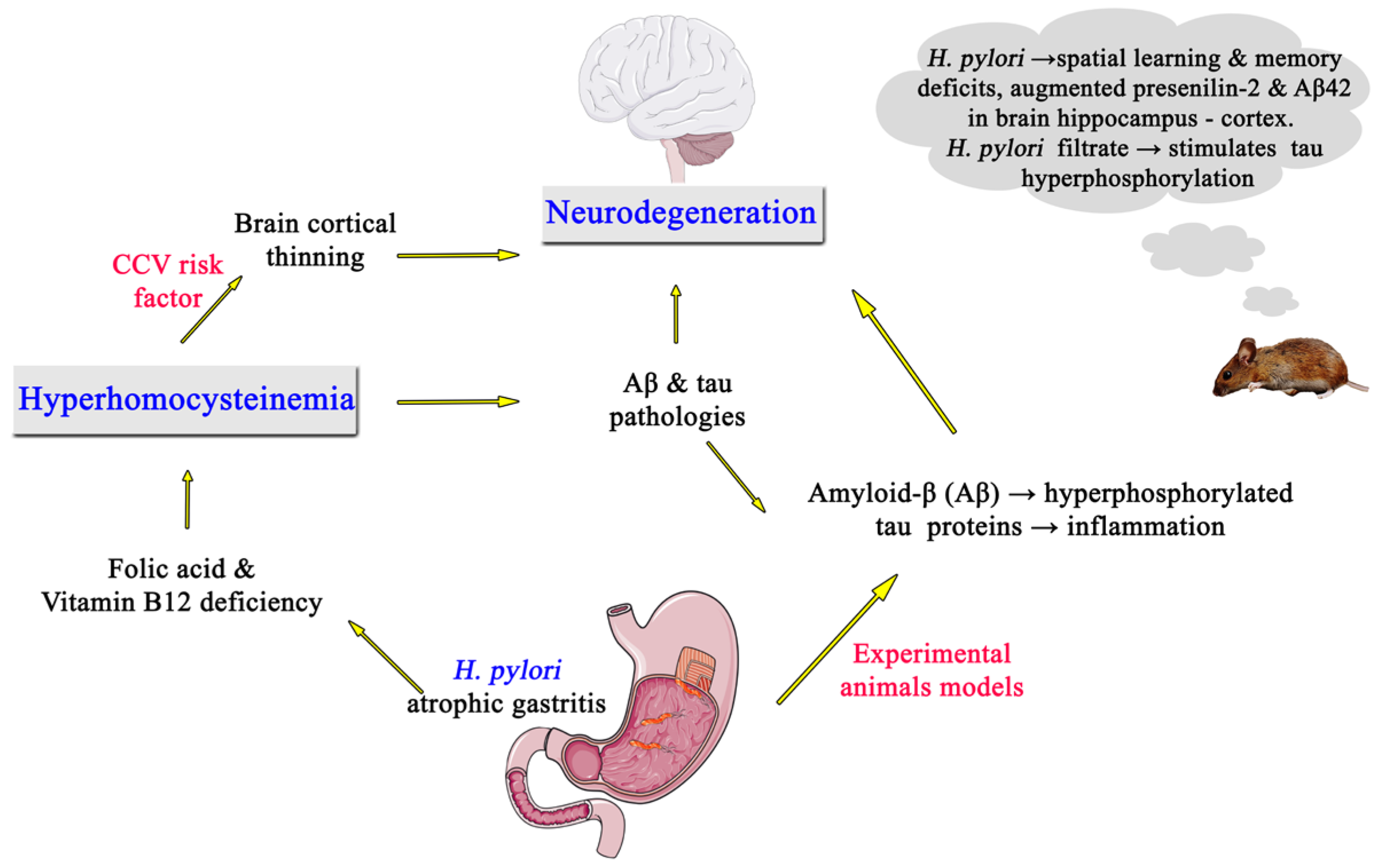 Medicina 59 00504 g002 Medicina 59 00504 g002