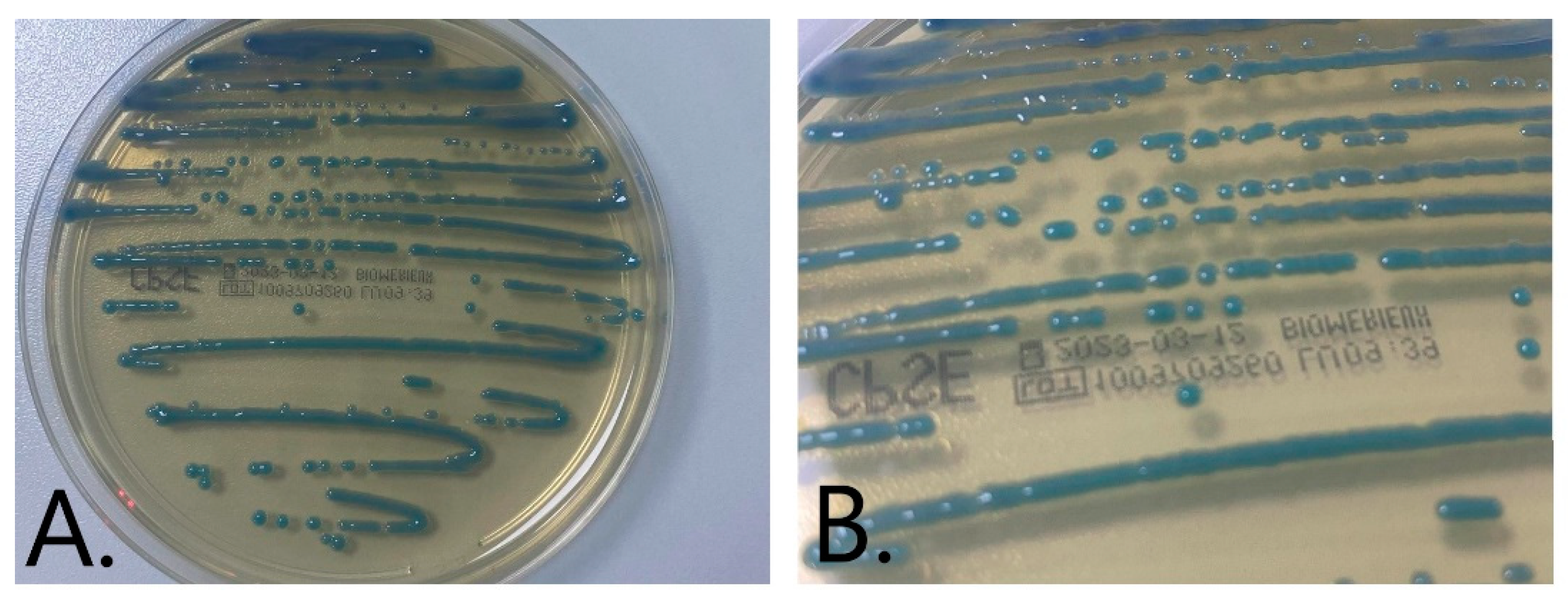 Medicina 59 00506 g002
