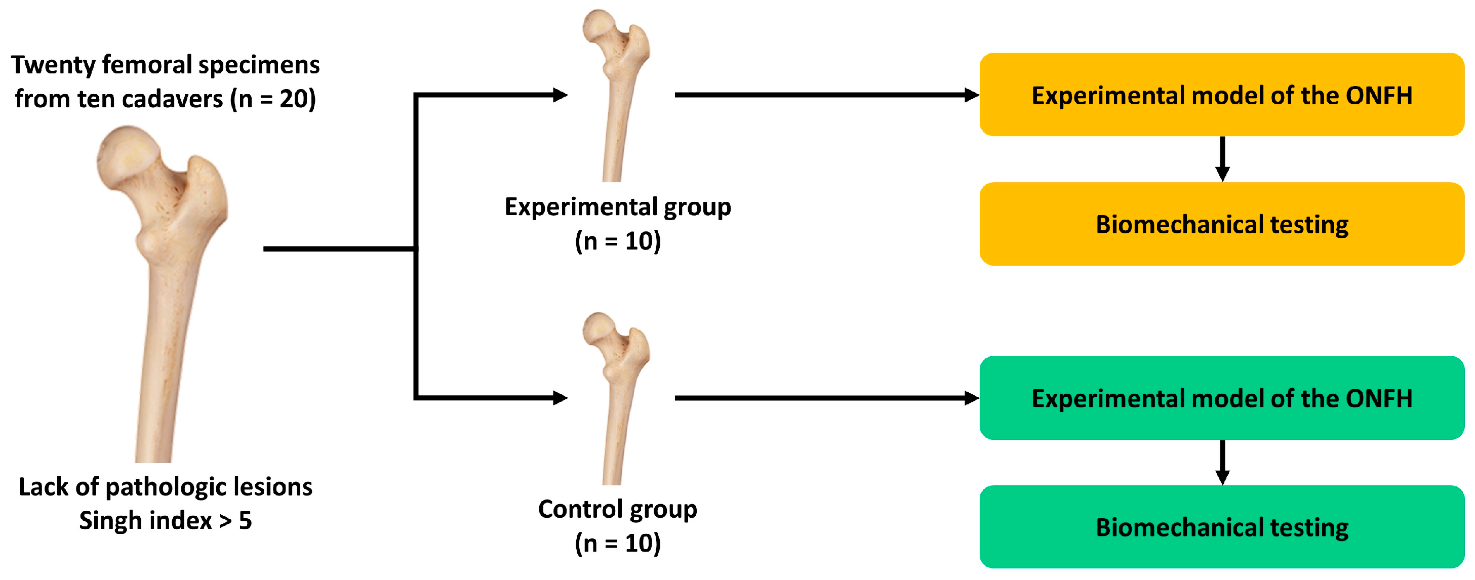 Medicina 59 00508 g001 Medicina 59 00508 g001