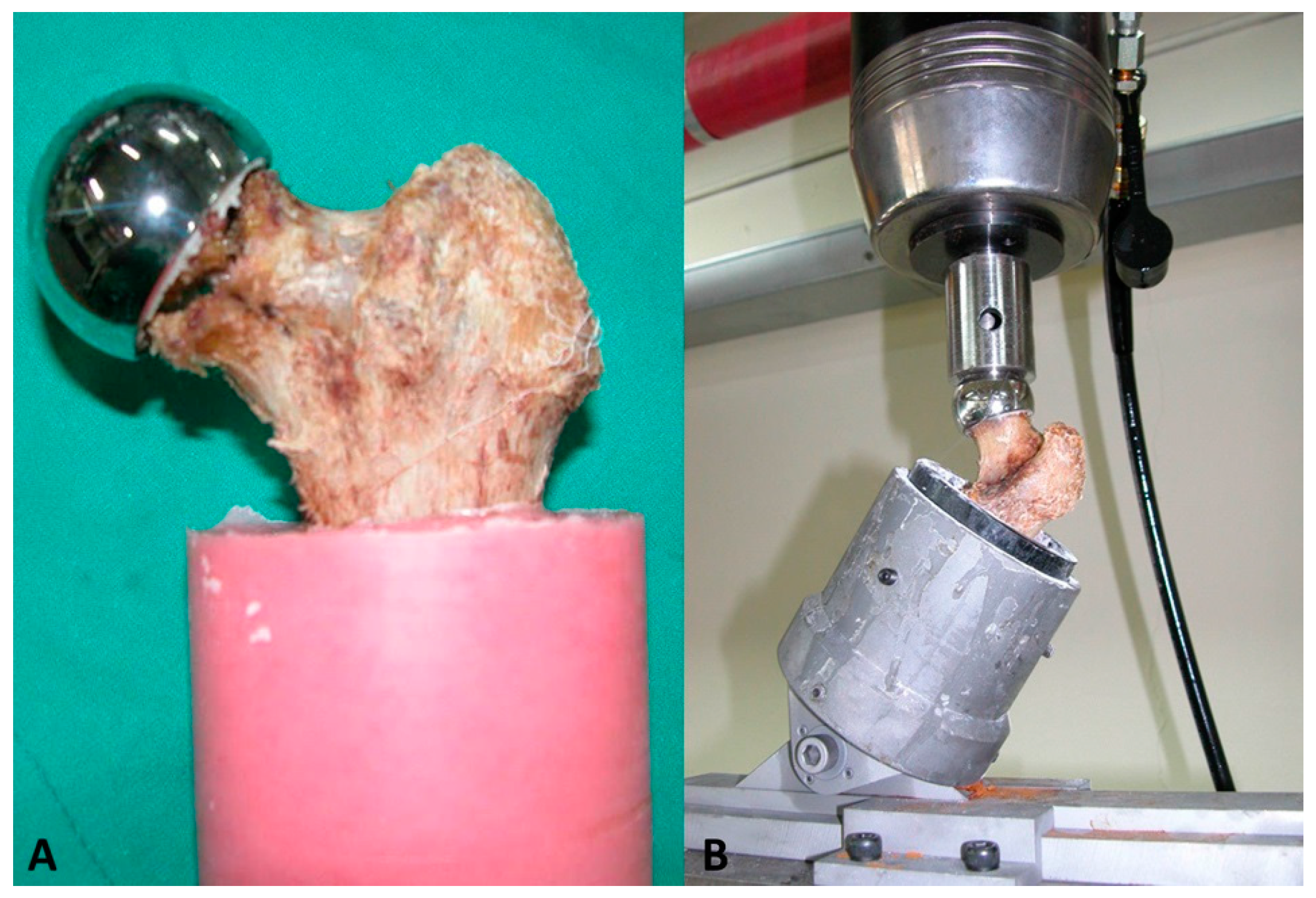 Medicina 59 00508 g003 Medicina 59 00508 g003