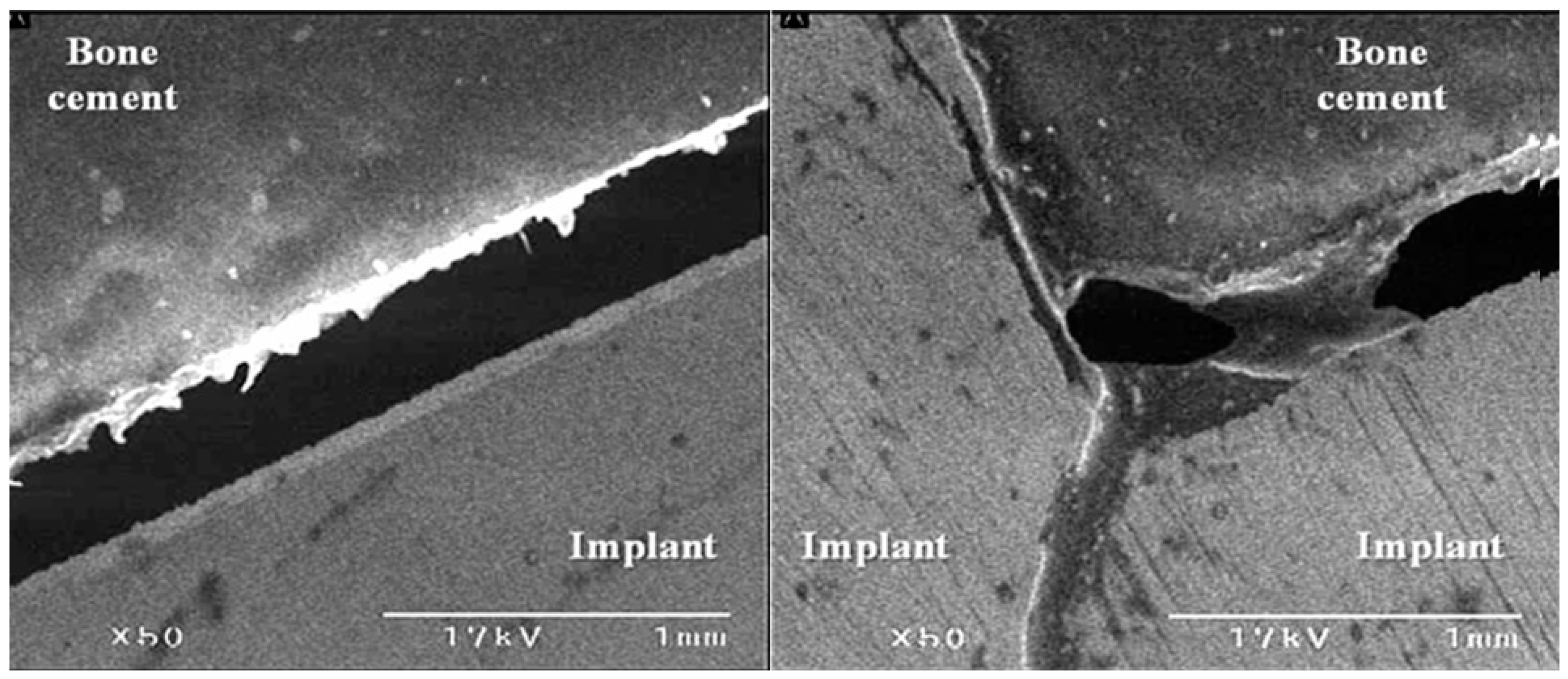 Medicina 59 00508 g008 Medicina 59 00508 g008