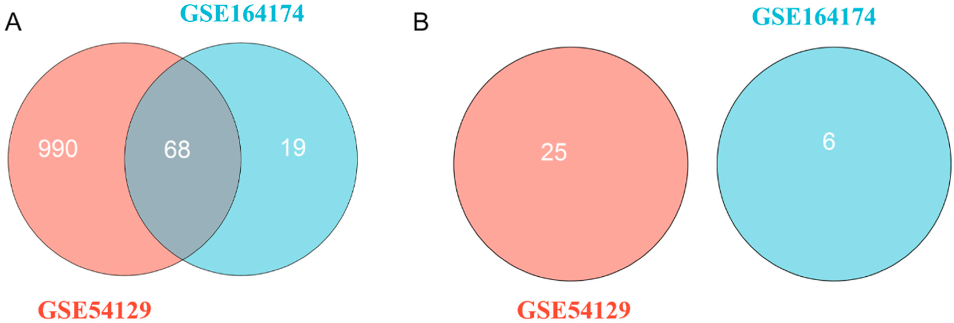 Medicina 59 00511 g002 Medicina 59 00511 g002