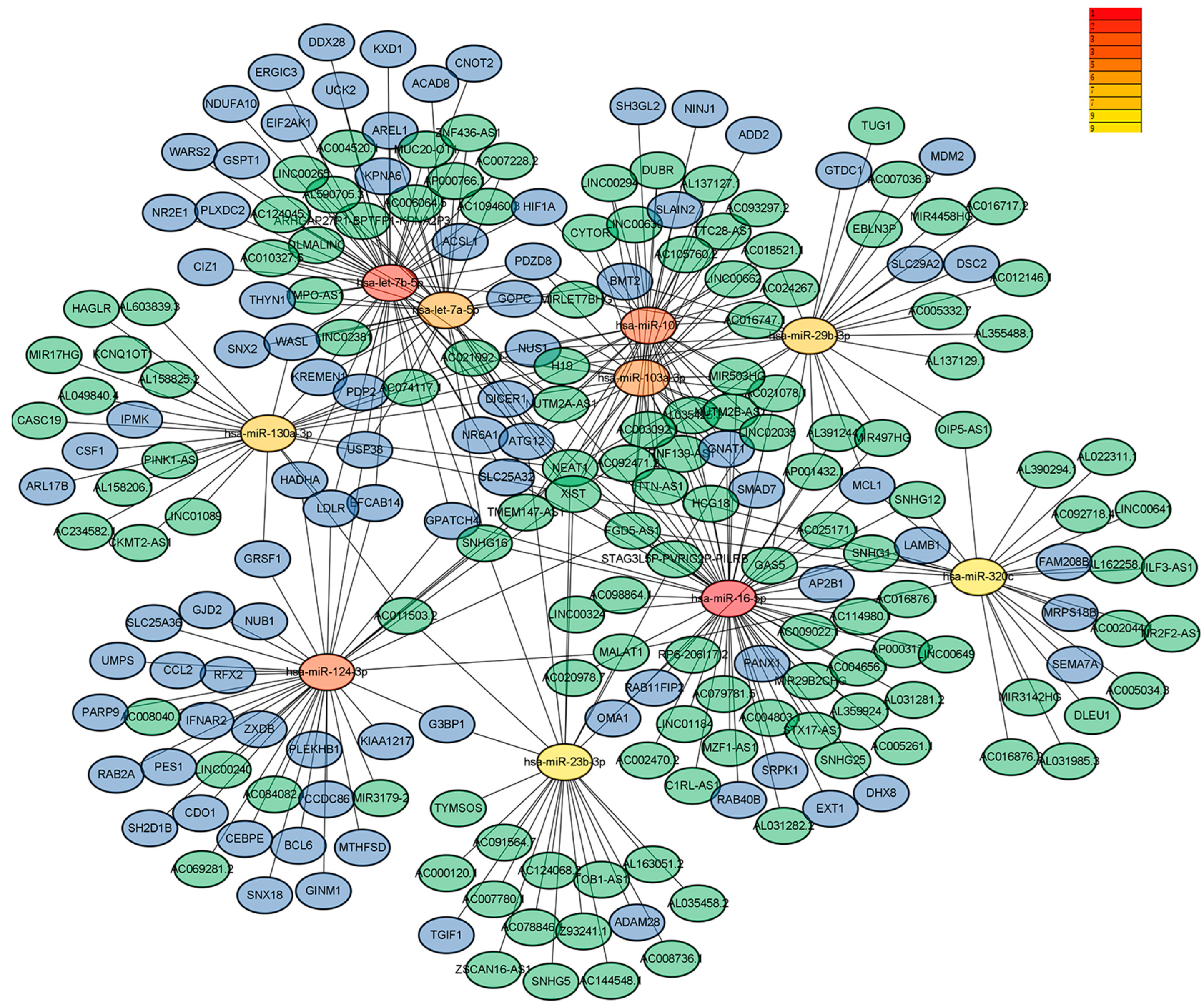 Medicina 59 00511 g003 Medicina 59 00511 g003