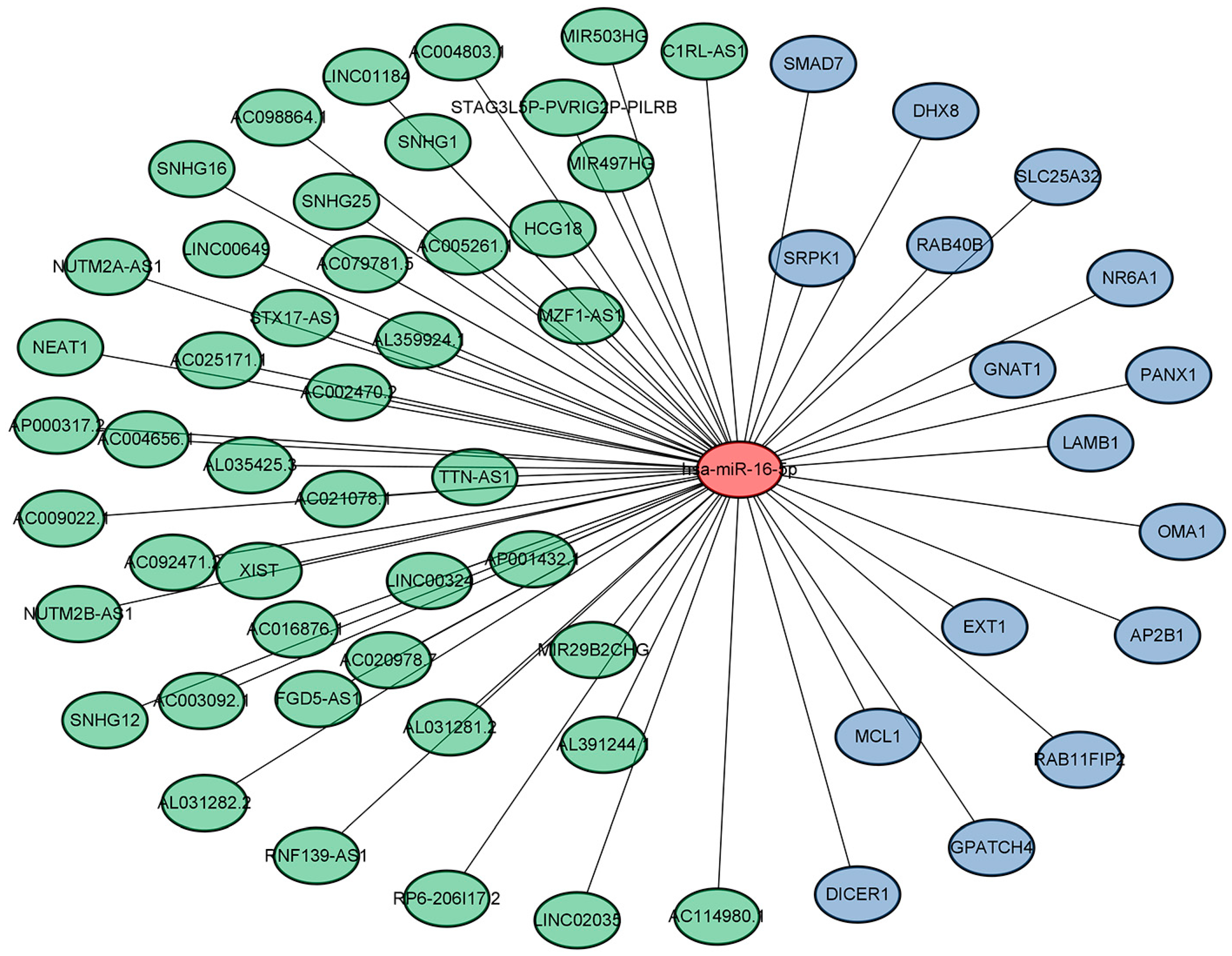 Medicina 59 00511 g004 Medicina 59 00511 g004