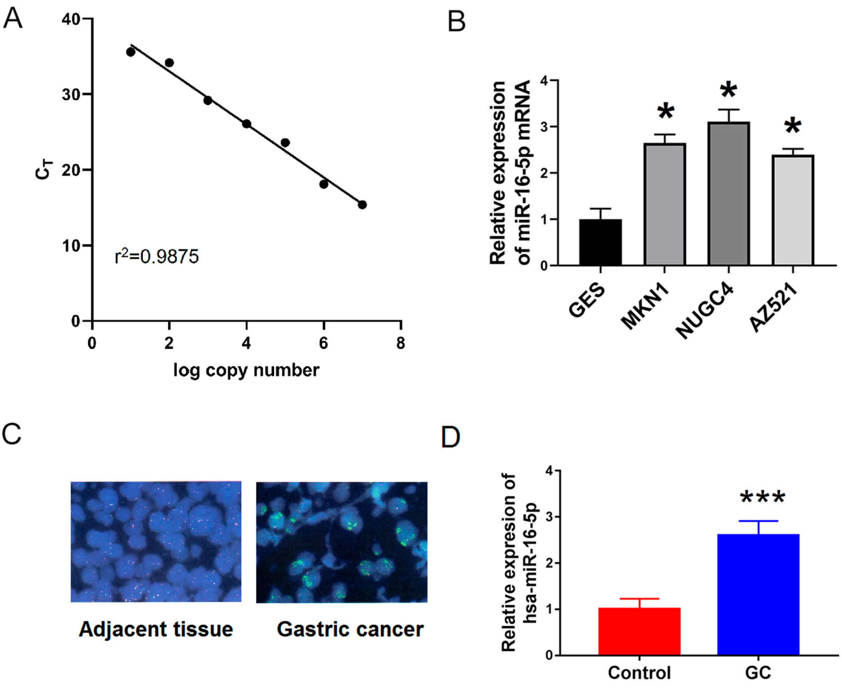 Medicina 59 00511 g006 Medicina 59 00511 g006